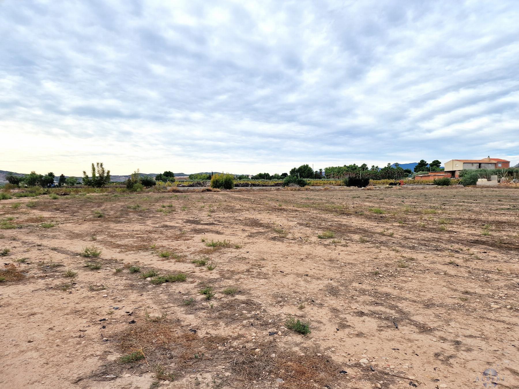 For sale of land in Novelda
