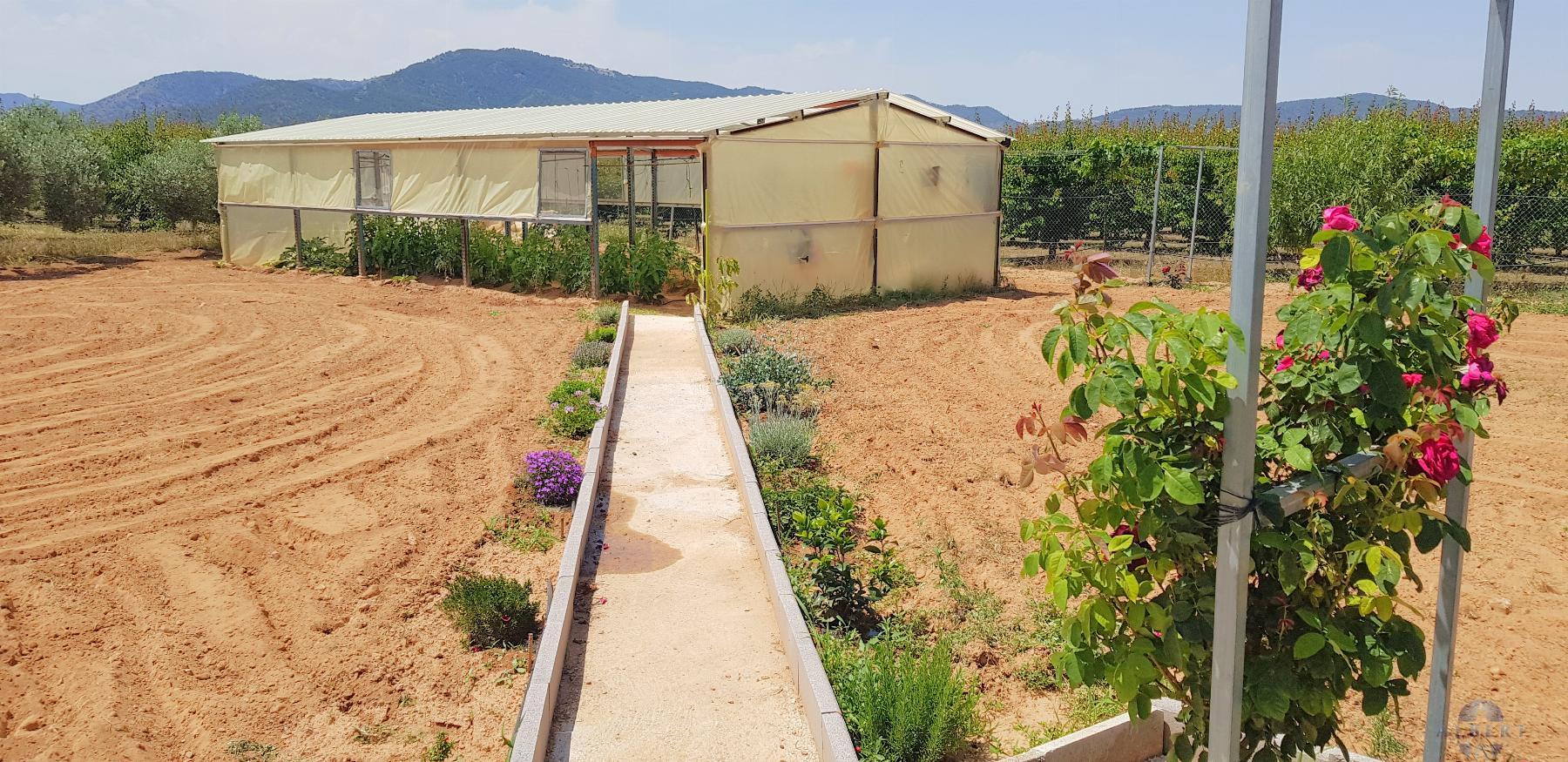 For sale of chalet in Monóvar-Monòver