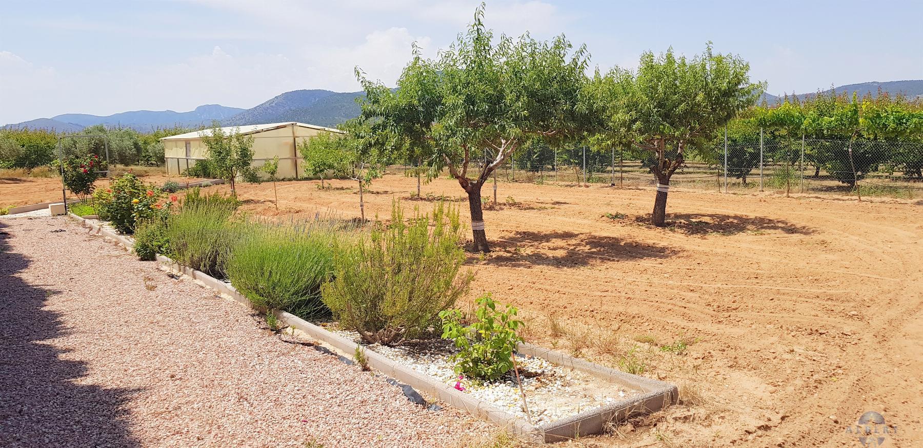 For sale of chalet in Monóvar-Monòver
