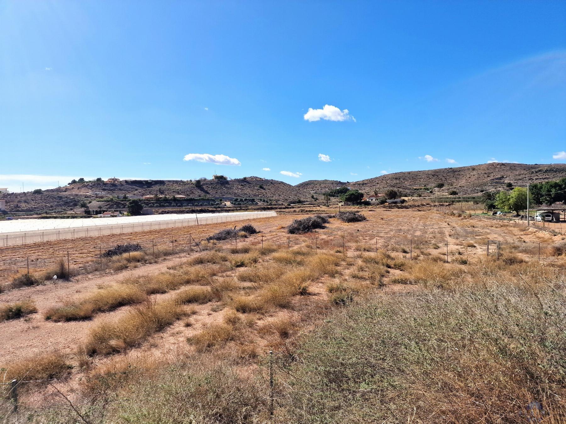 For sale of land in Novelda