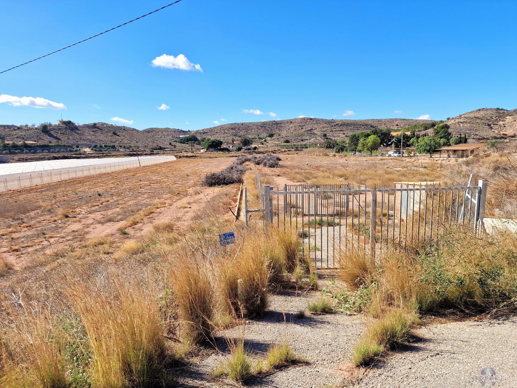 Venta de terreno en Novelda