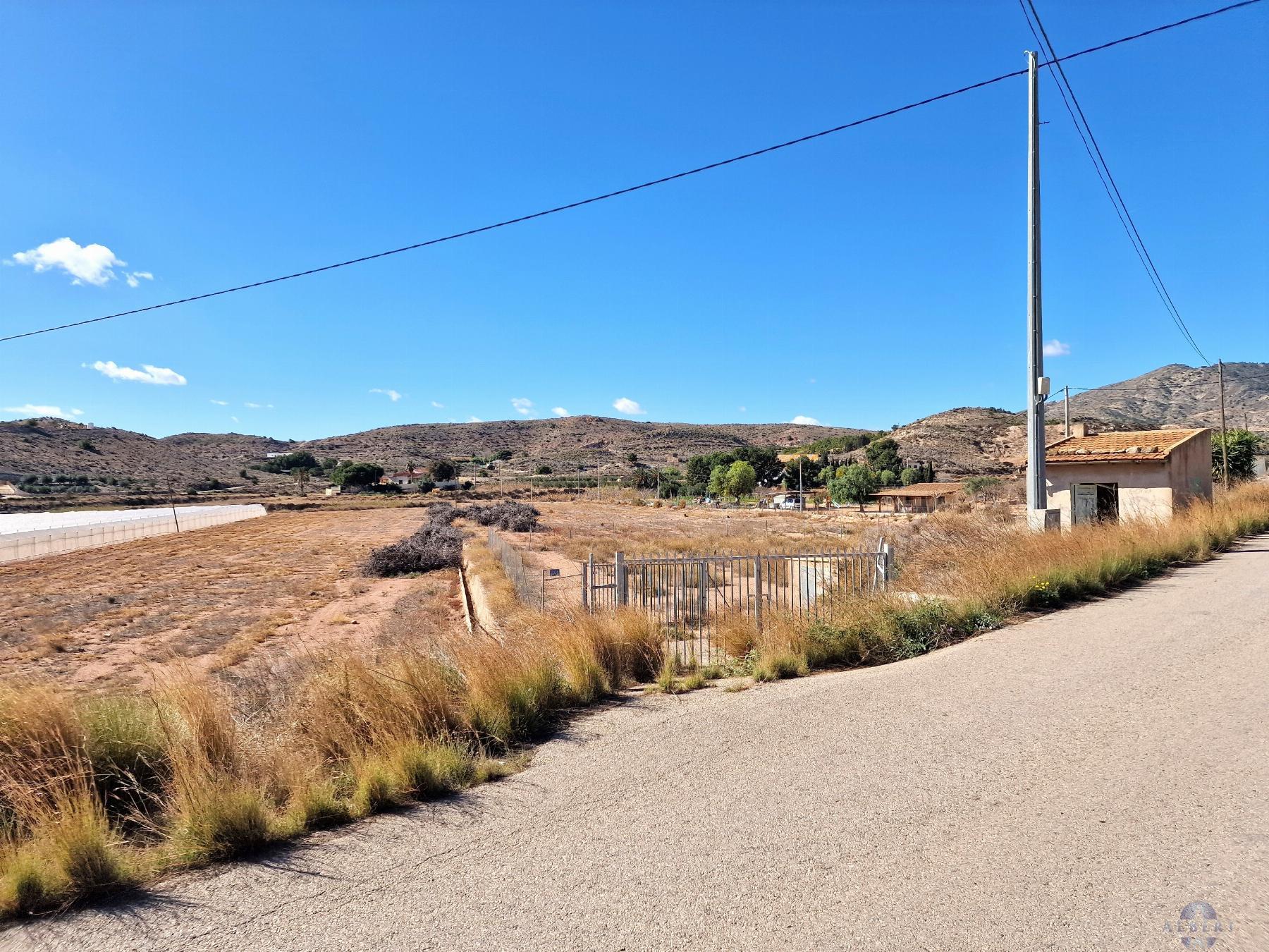 For sale of land in Novelda