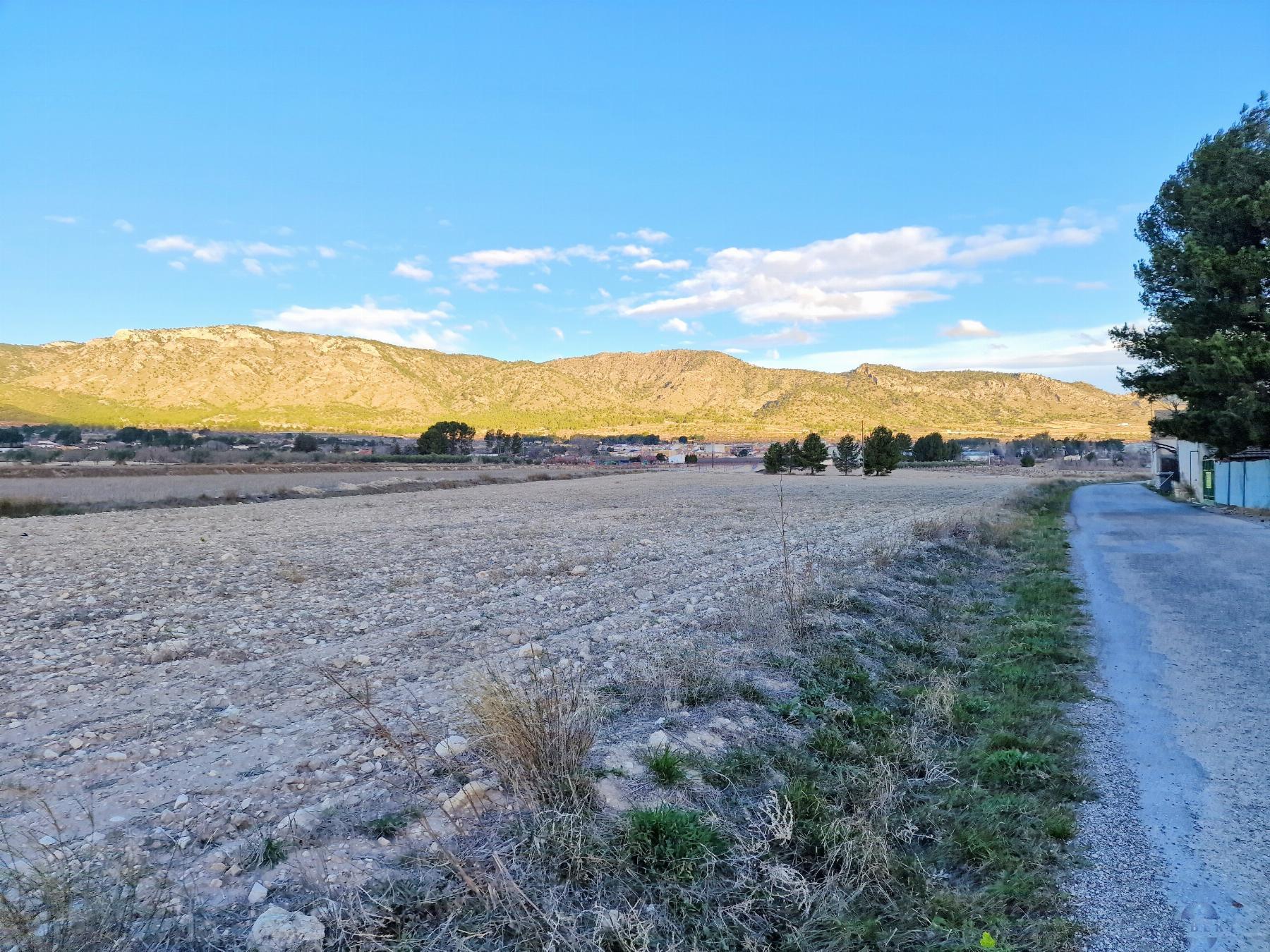 For sale of land in Salinas