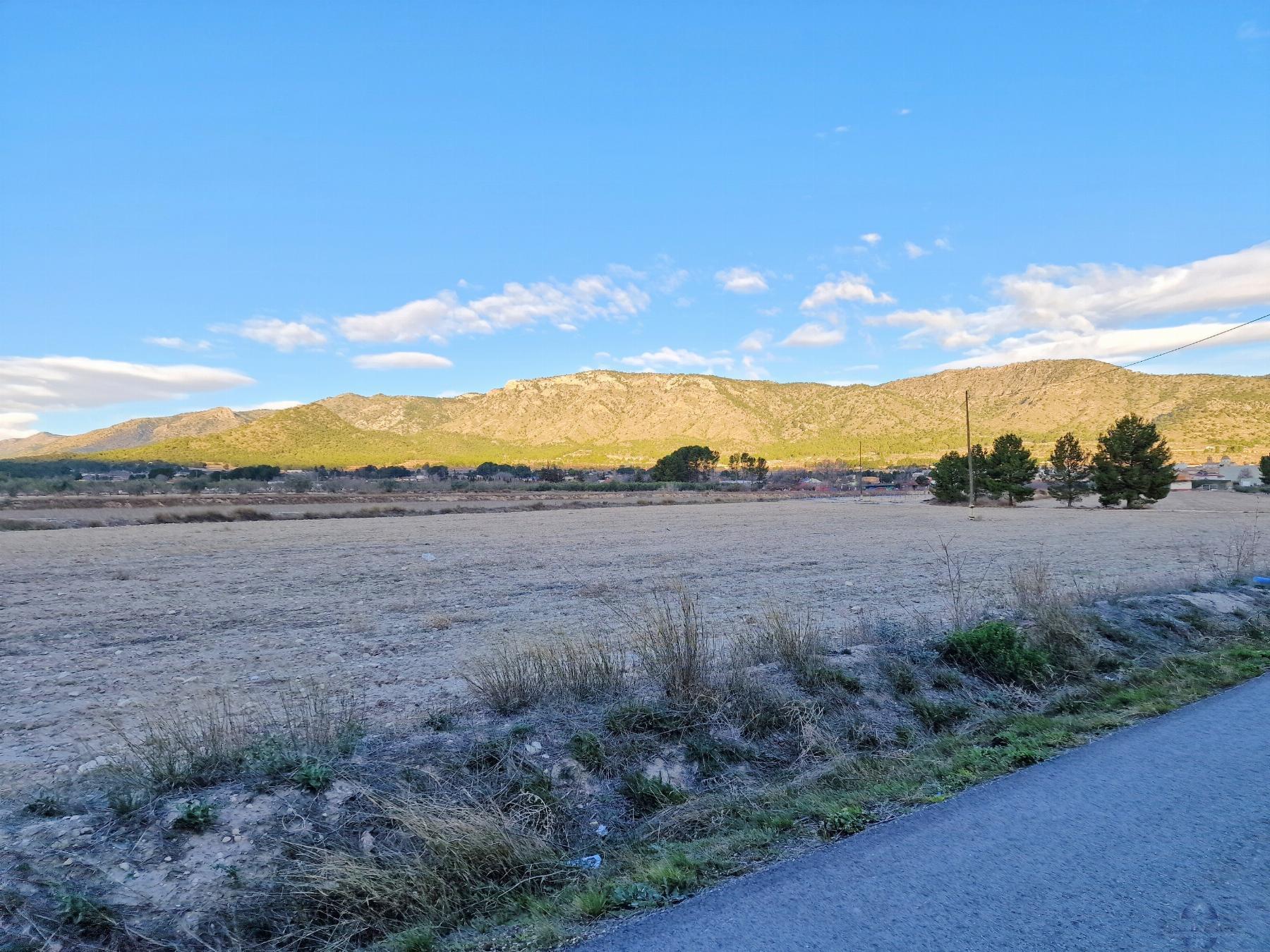 For sale of land in Salinas