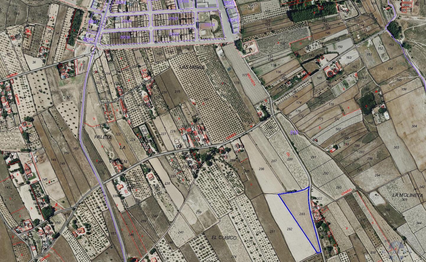 For sale of land in Salinas