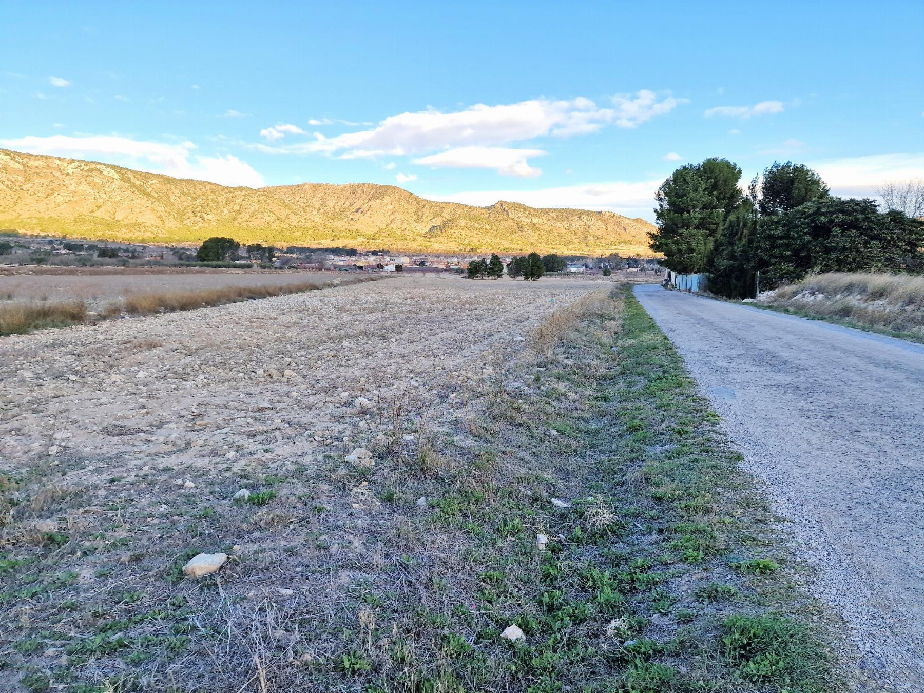 For sale of land in Salinas