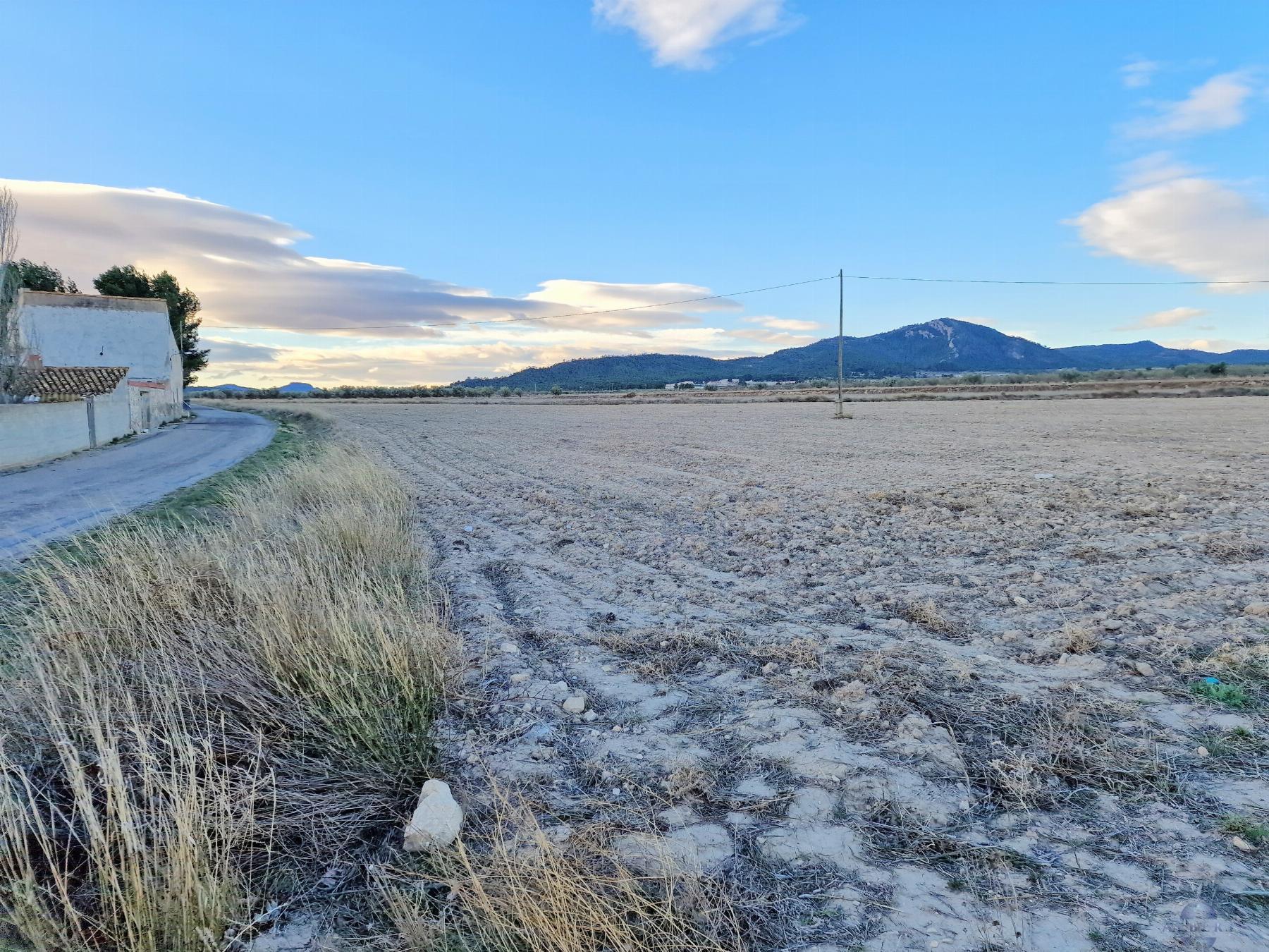 For sale of land in Salinas