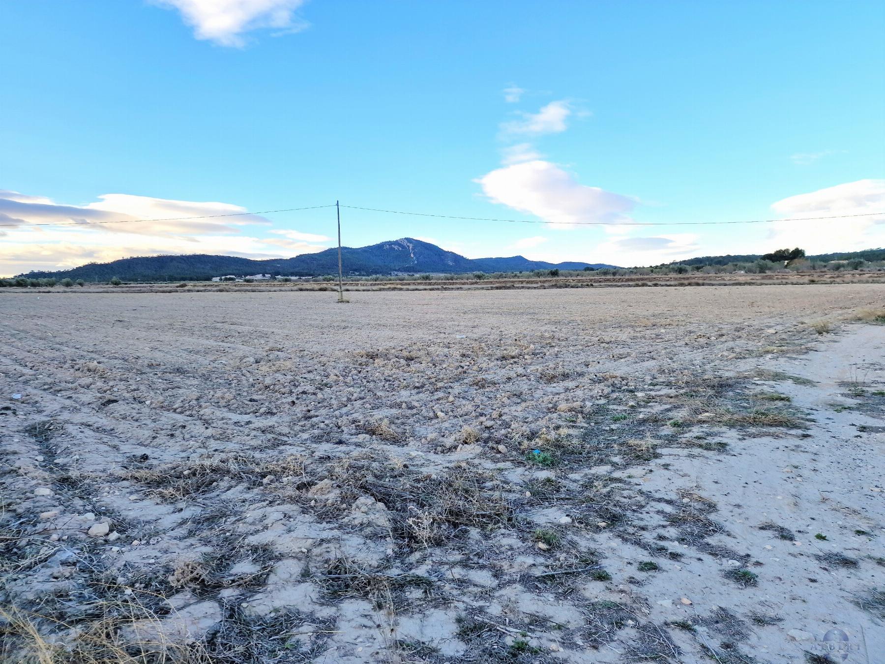 For sale of land in Salinas