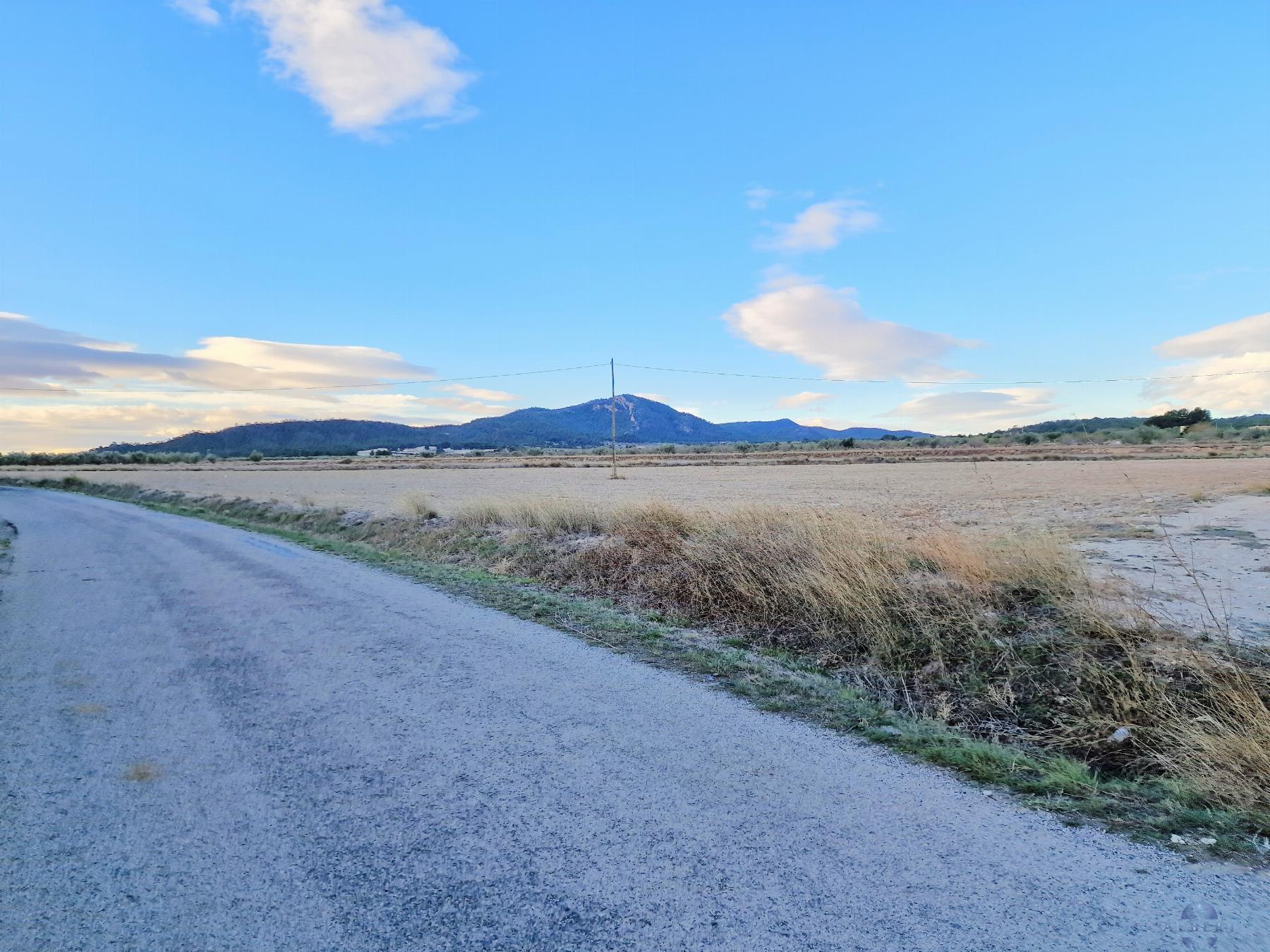 For sale of land in Salinas