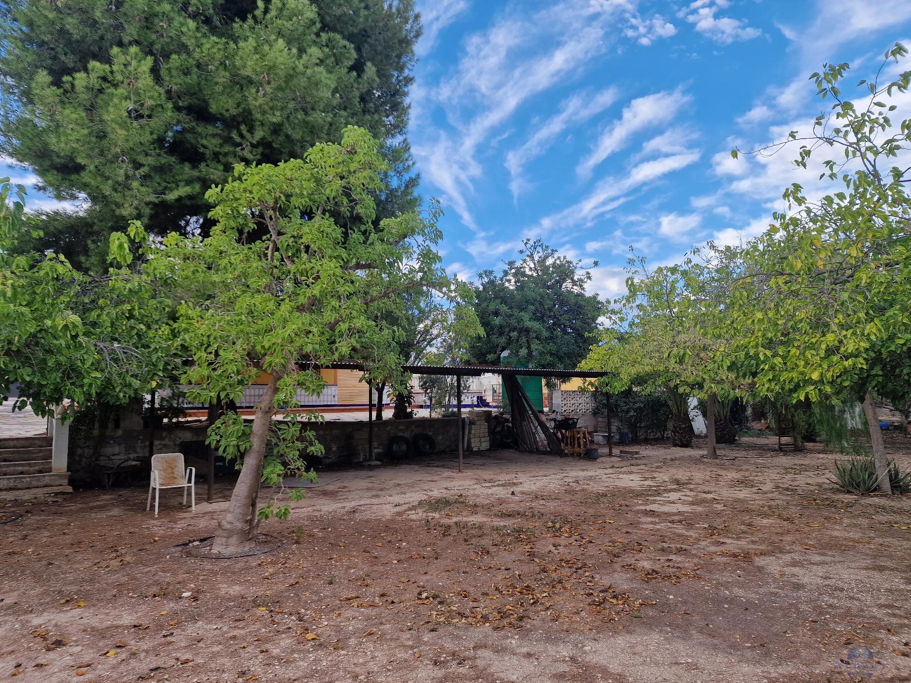 Venta de chalet en Novelda