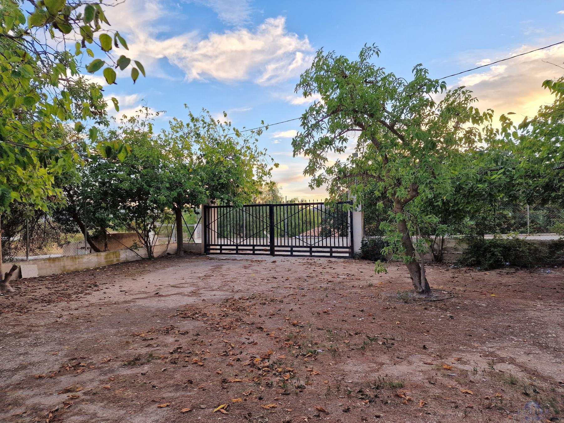 Venta de chalet en Novelda