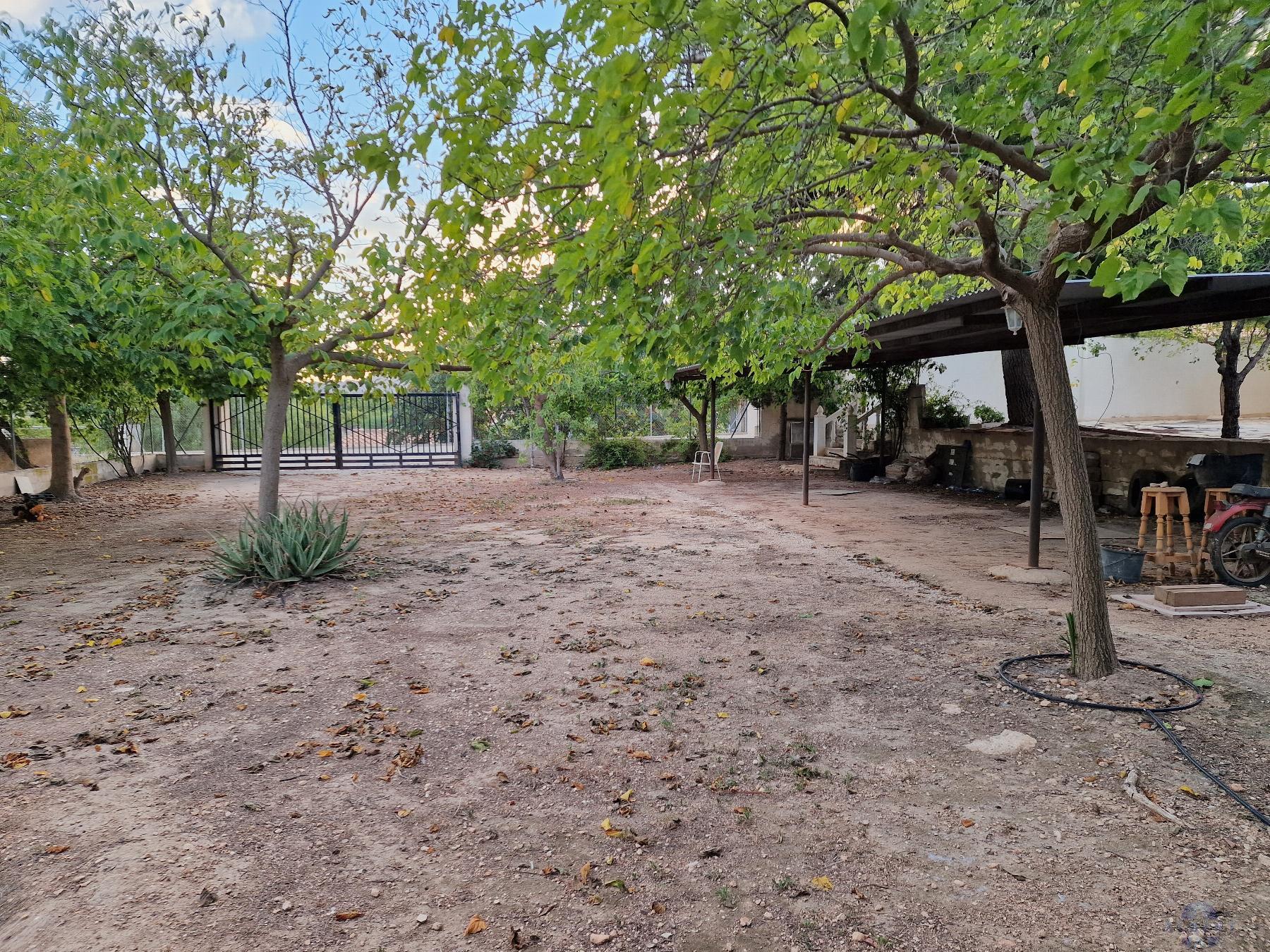 Venta de chalet en Novelda