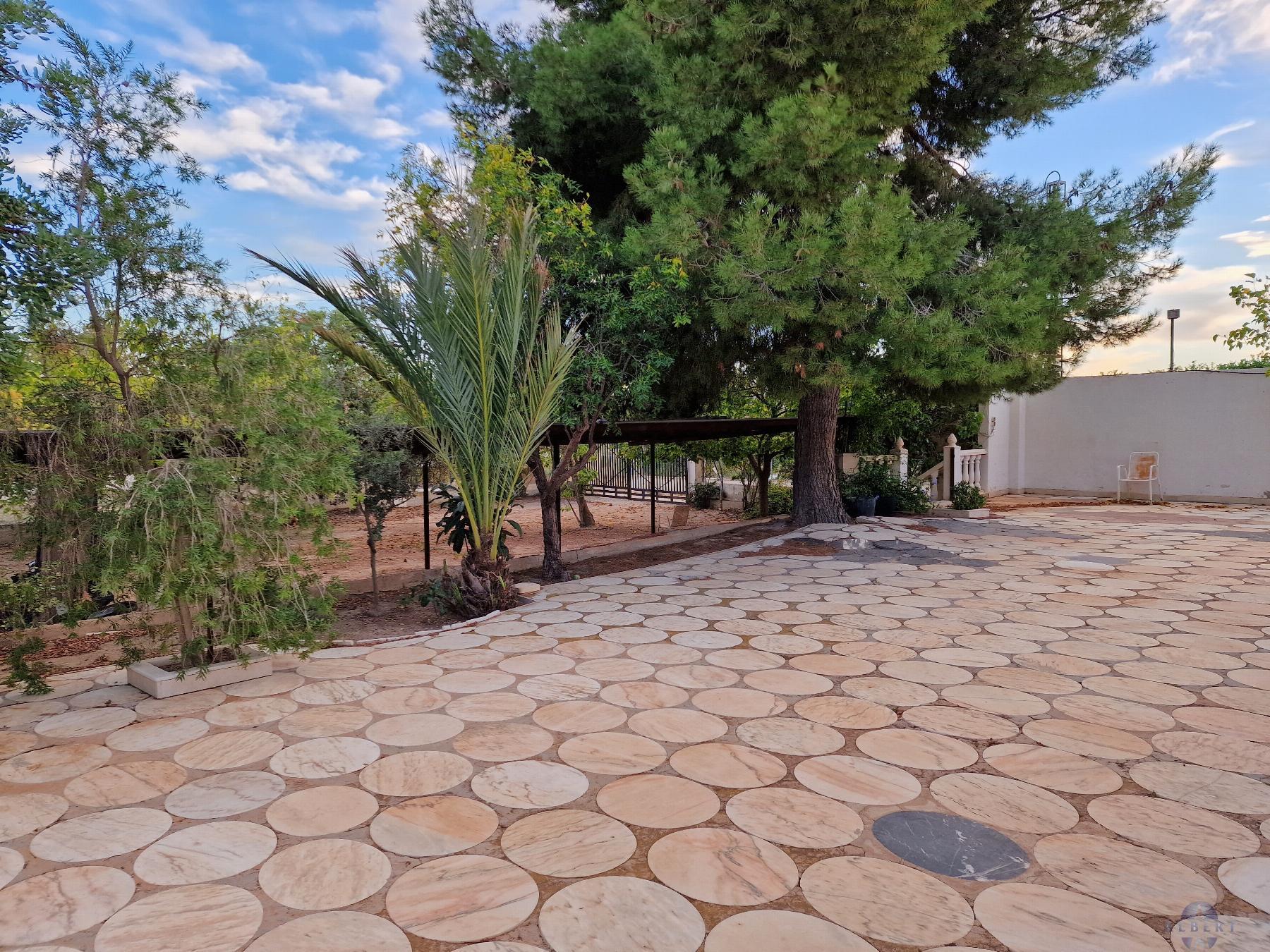 Venta de chalet en Novelda