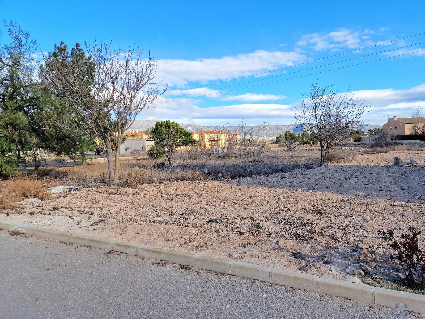 For sale of land in El Pinós
