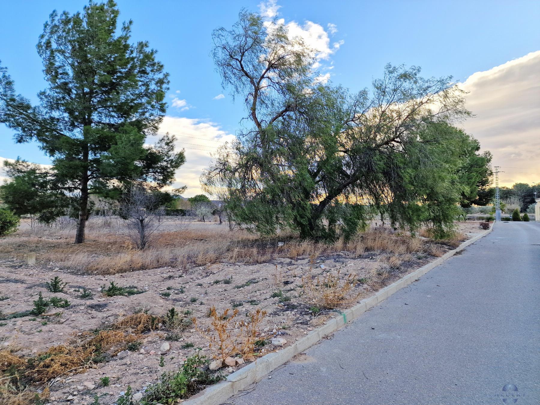 For sale of land in El Pinós
