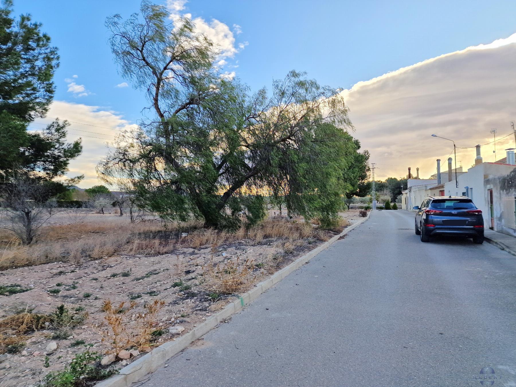 For sale of land in El Pinós