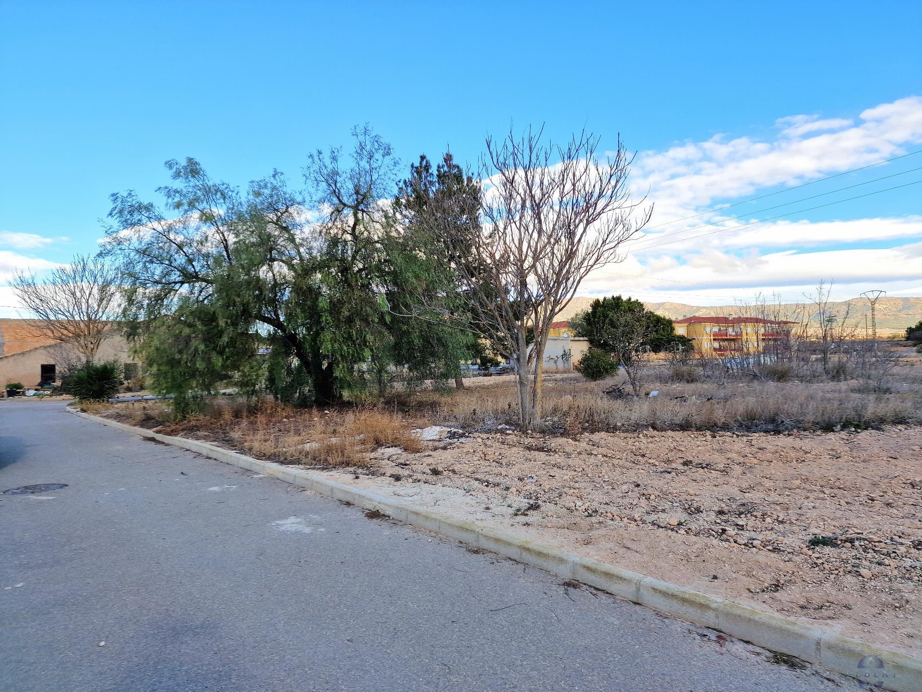 For sale of land in El Pinós