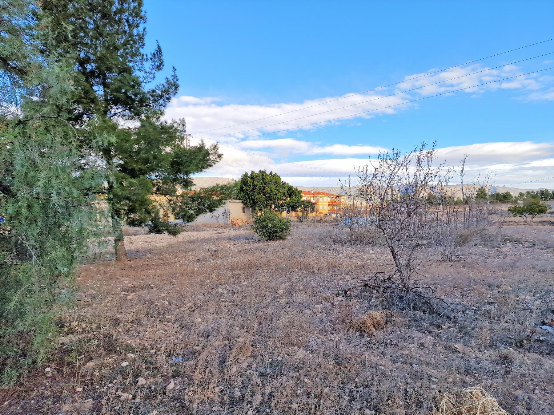 For sale of land in El Pinós