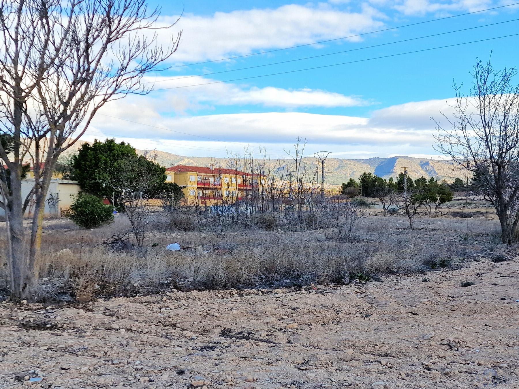 For sale of land in El Pinós