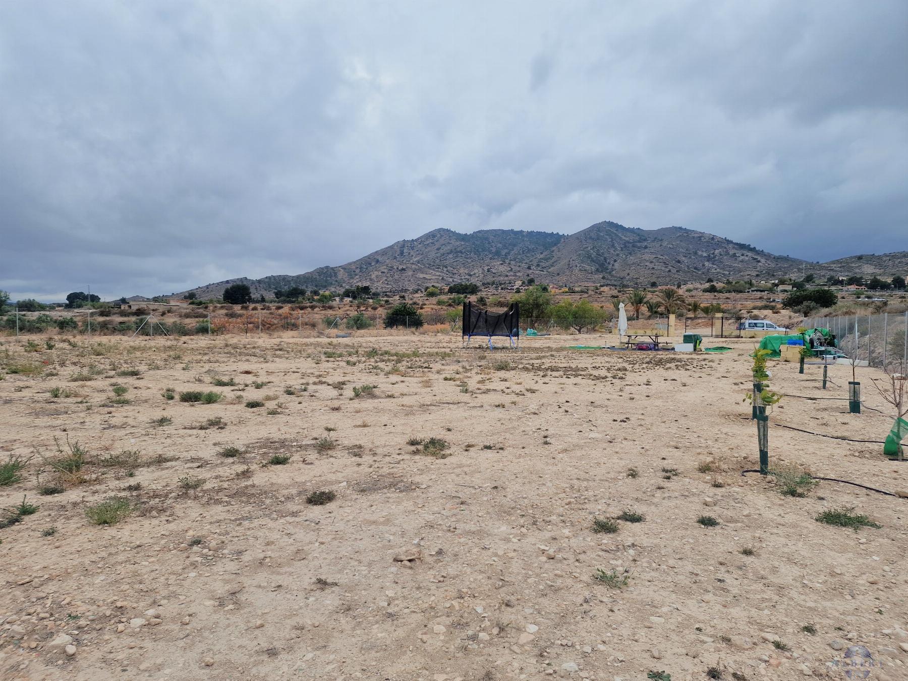 For sale of land in Novelda