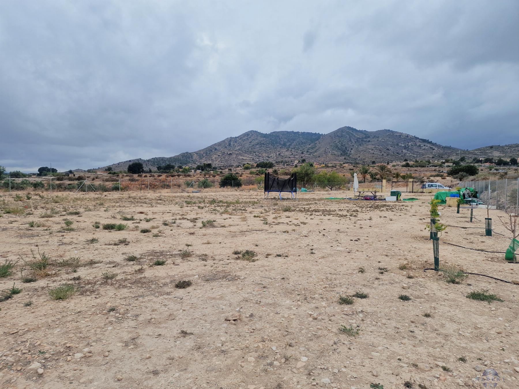 Venta de terreno en Novelda