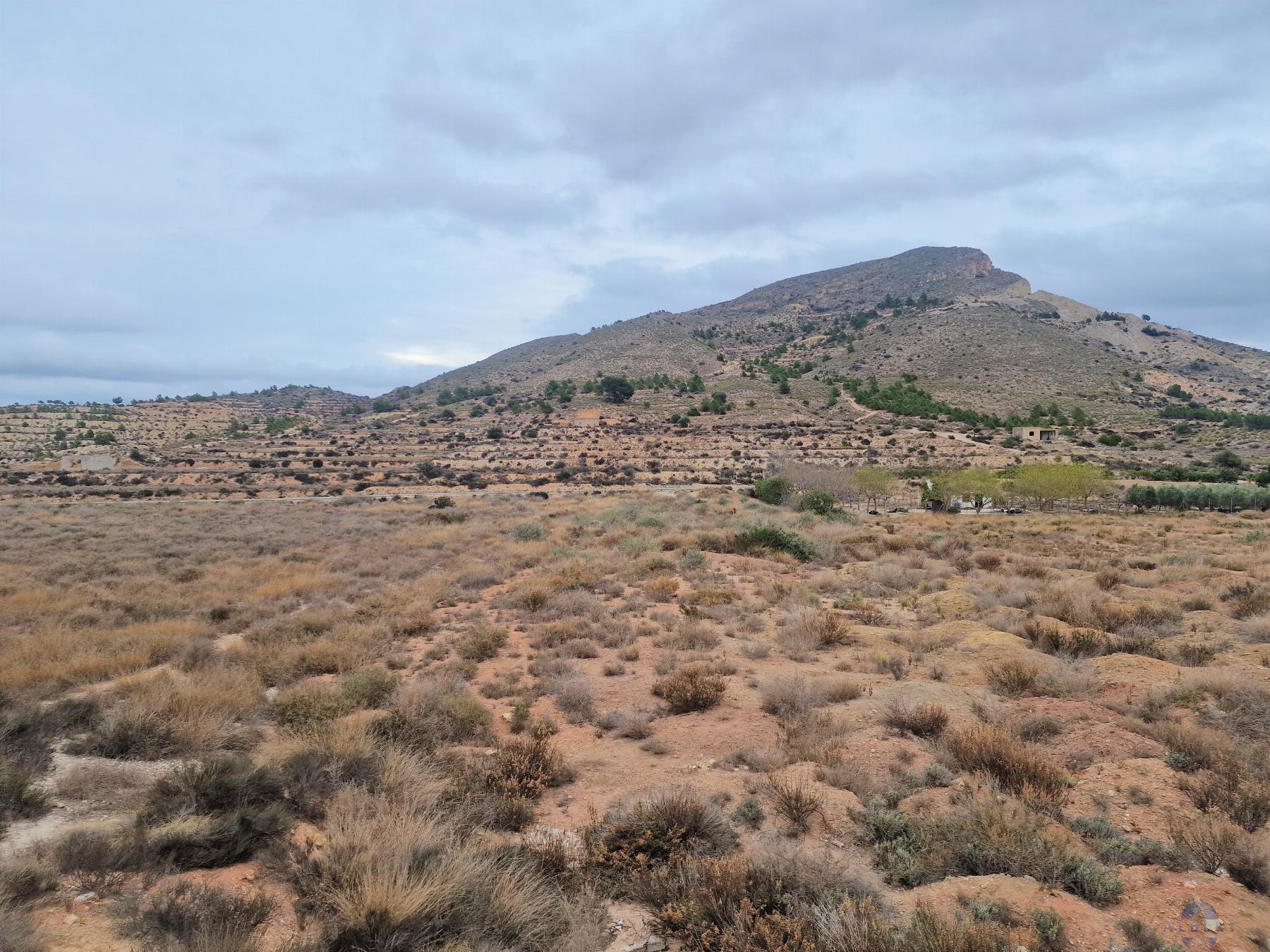 For sale of land in Novelda