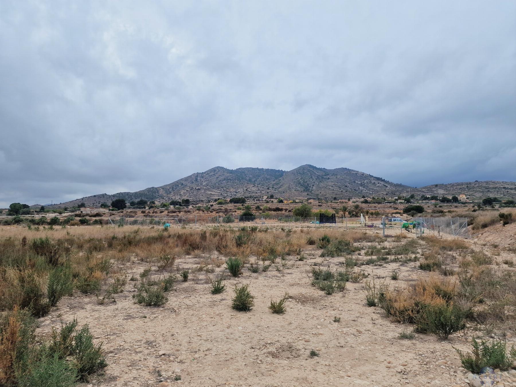 For sale of land in Novelda