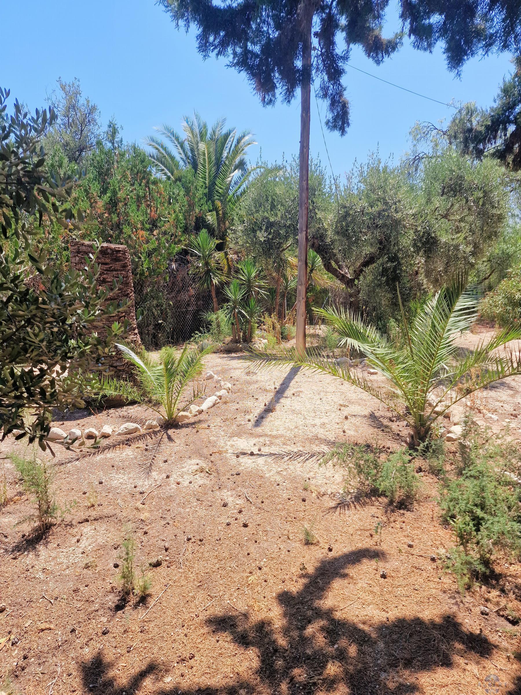 Venta de chalet en Elda