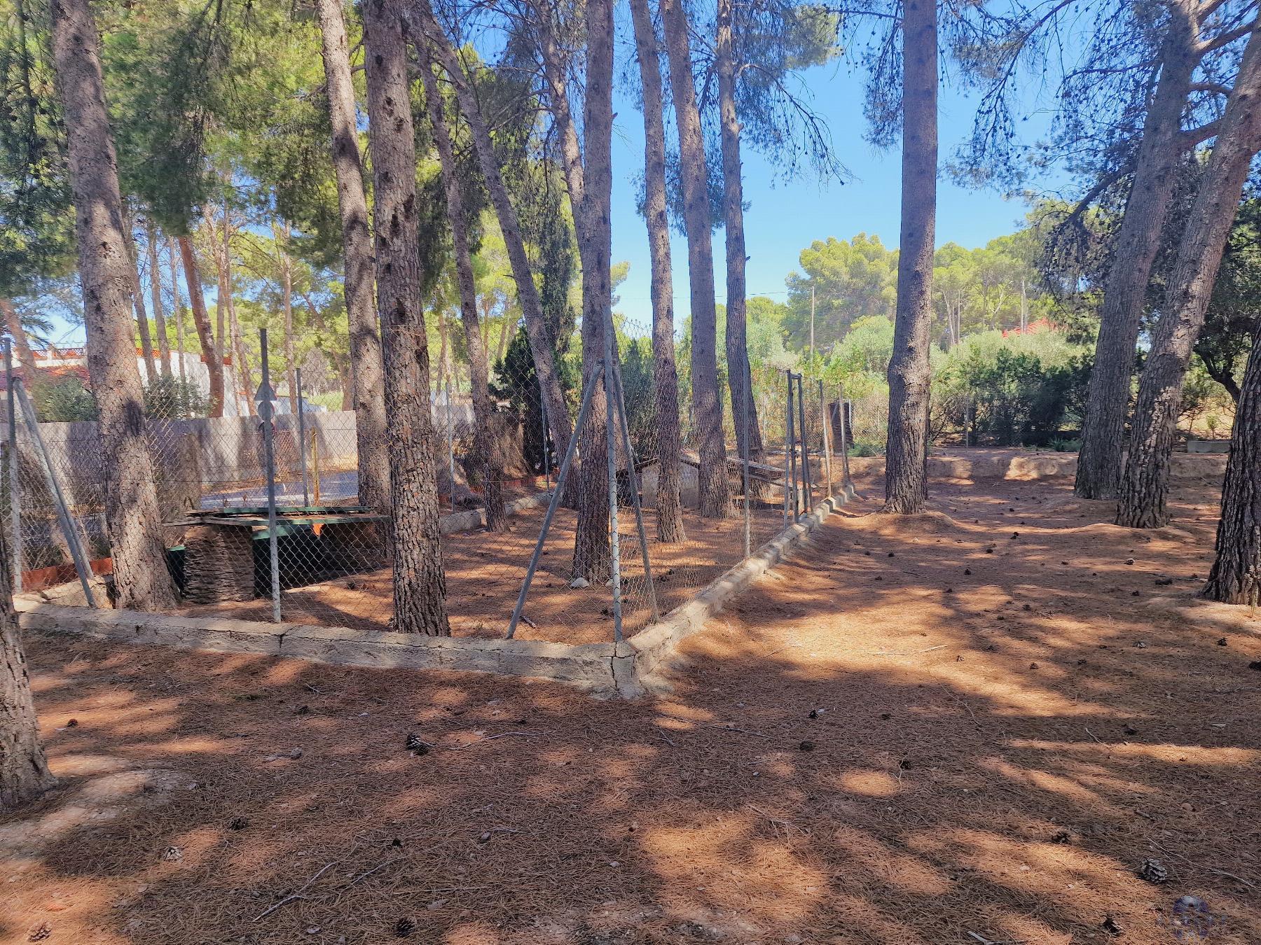 Venta de chalet en Elda
