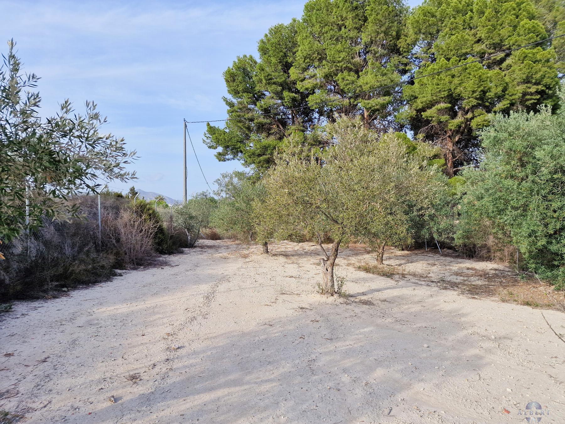 For sale of chalet in Monóvar-Monòver