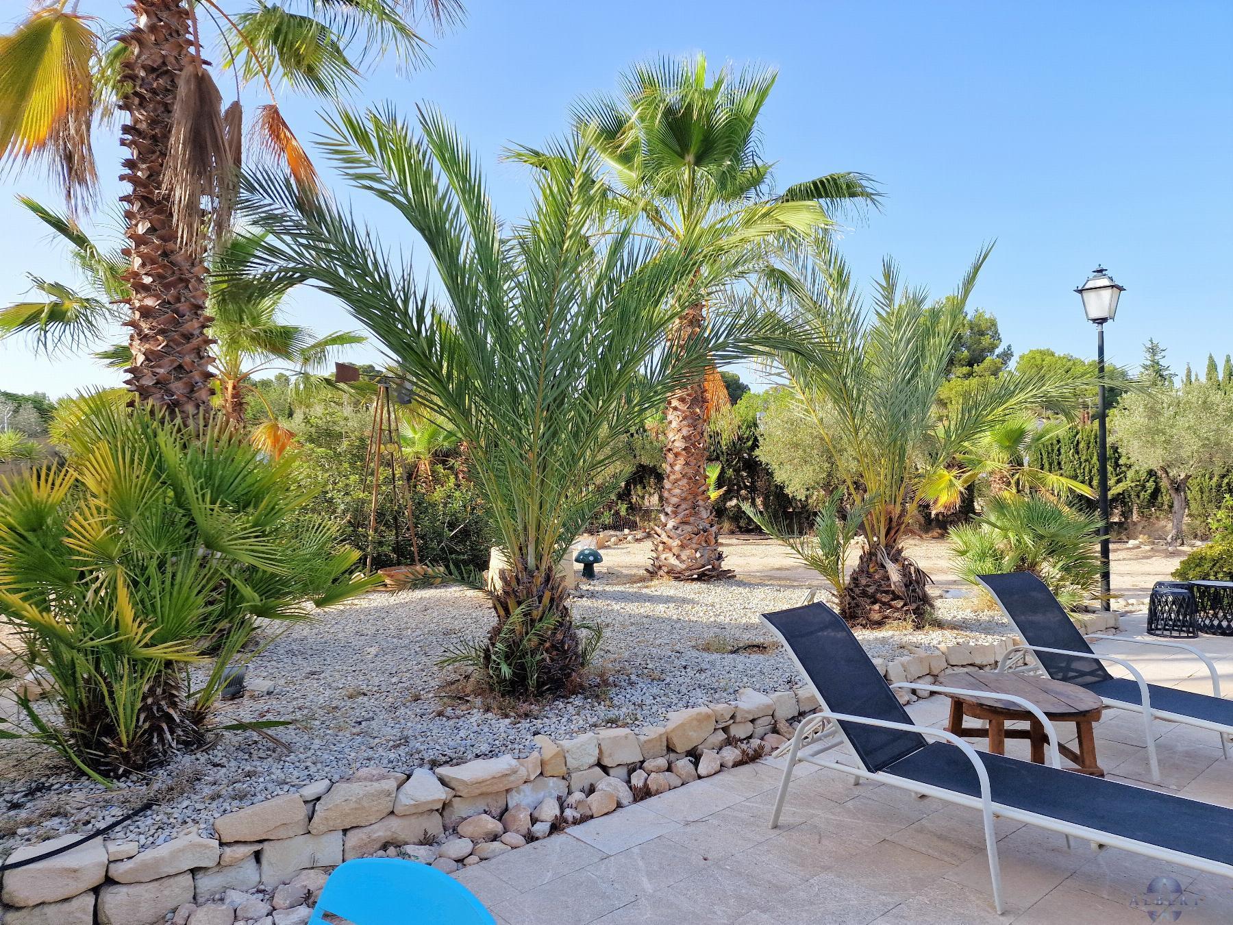 For sale of chalet in Monóvar-Monòver