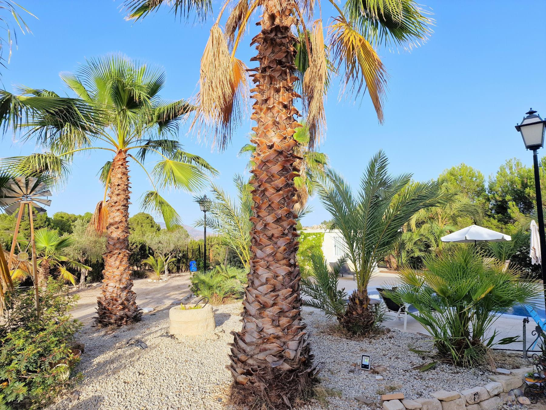 For sale of chalet in Monóvar-Monòver