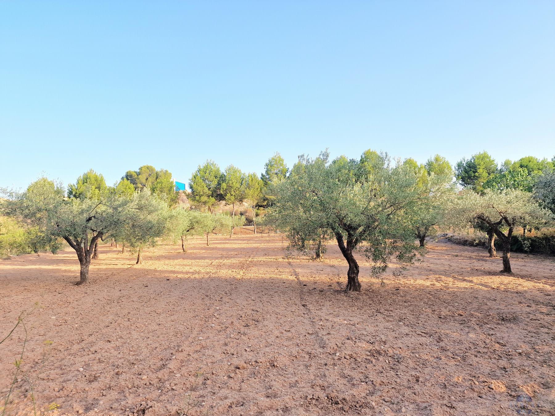 For sale of chalet in Monóvar-Monòver