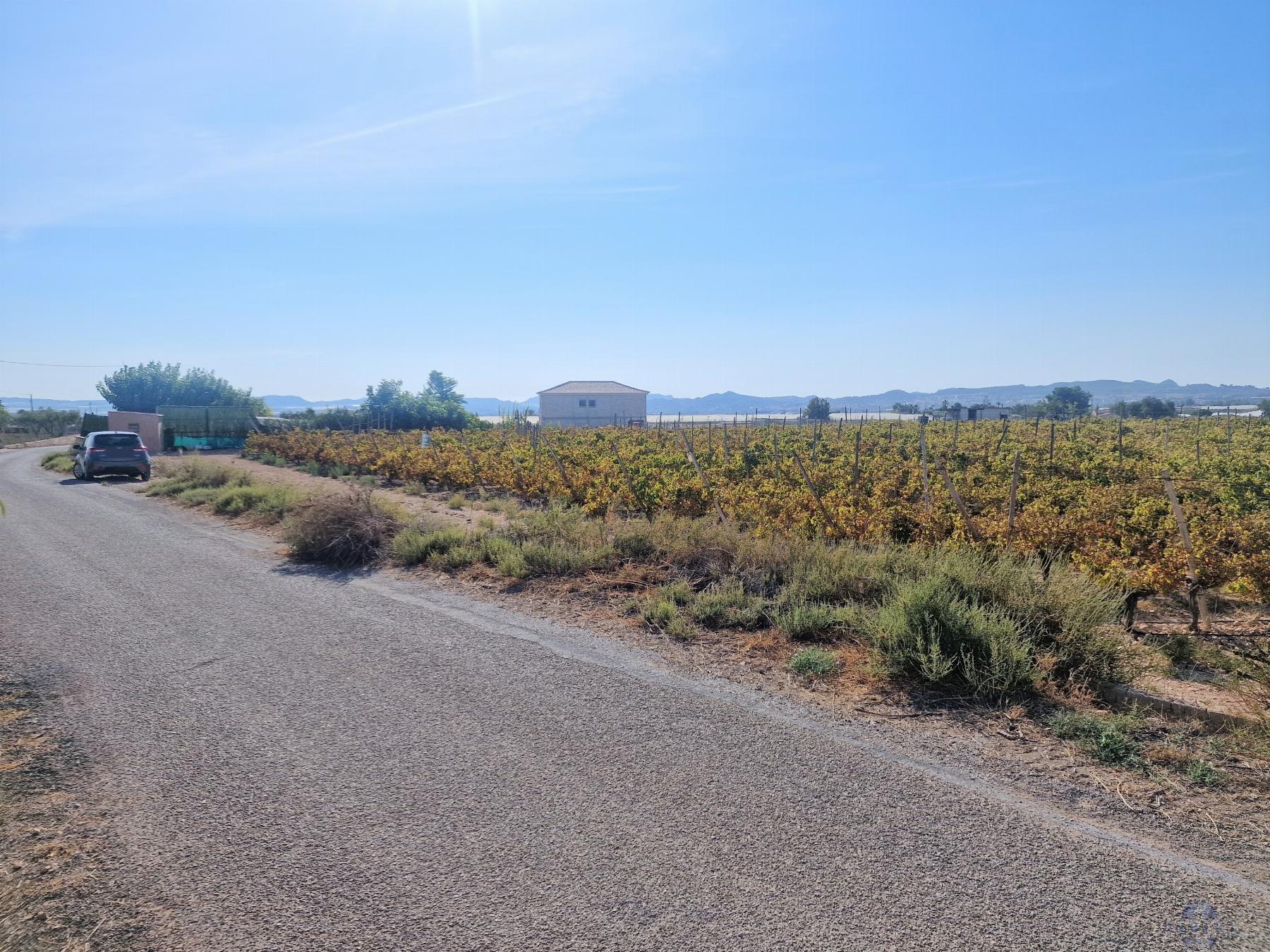 Venta de terreno en Novelda