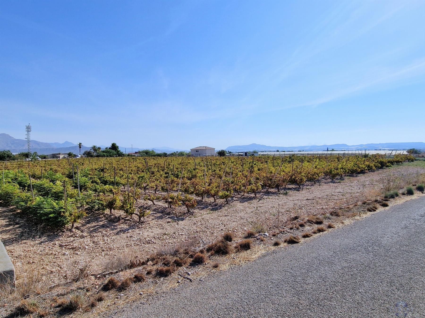 Venta de terreno en Novelda