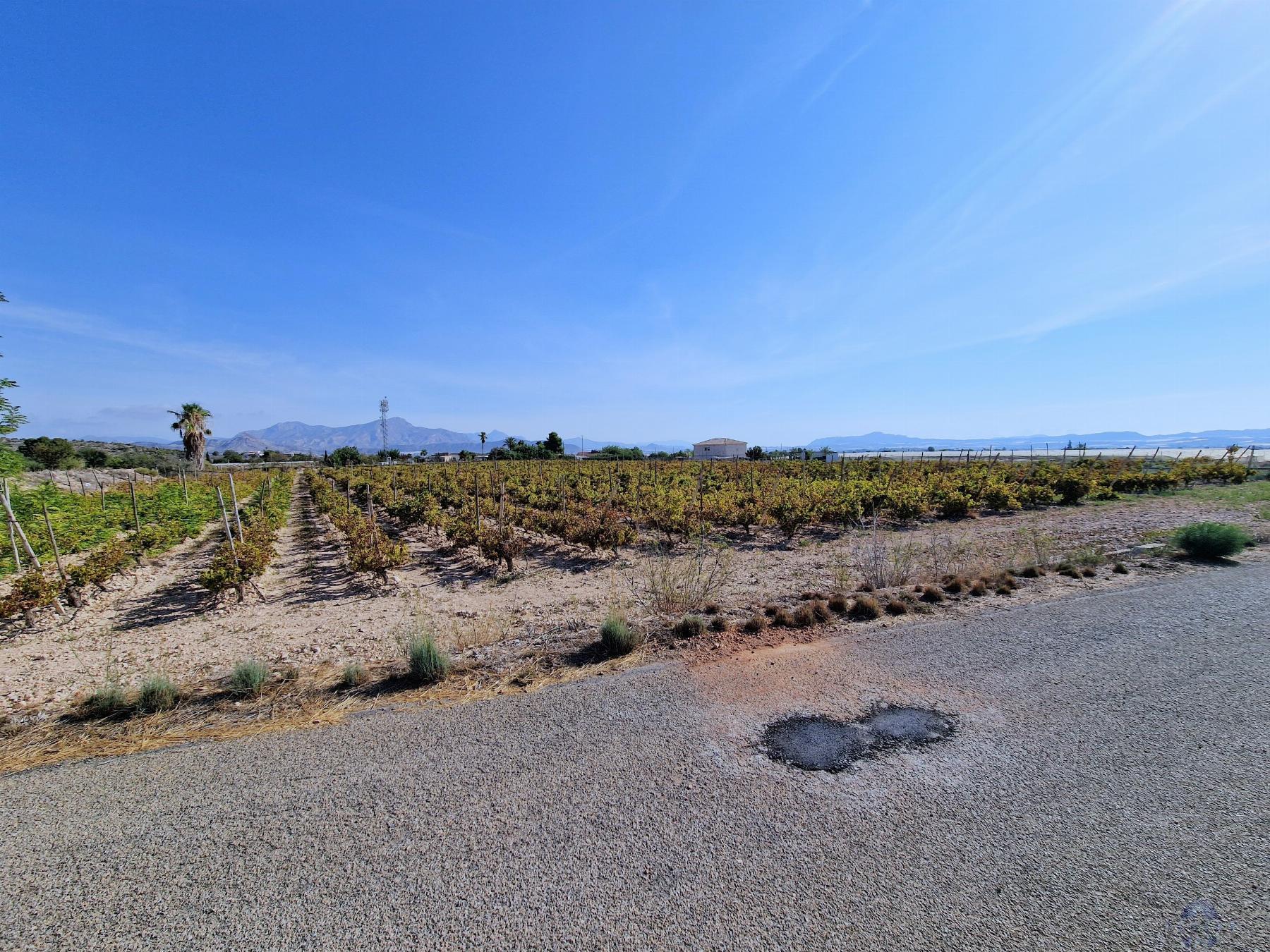 Venta de terreno en Novelda