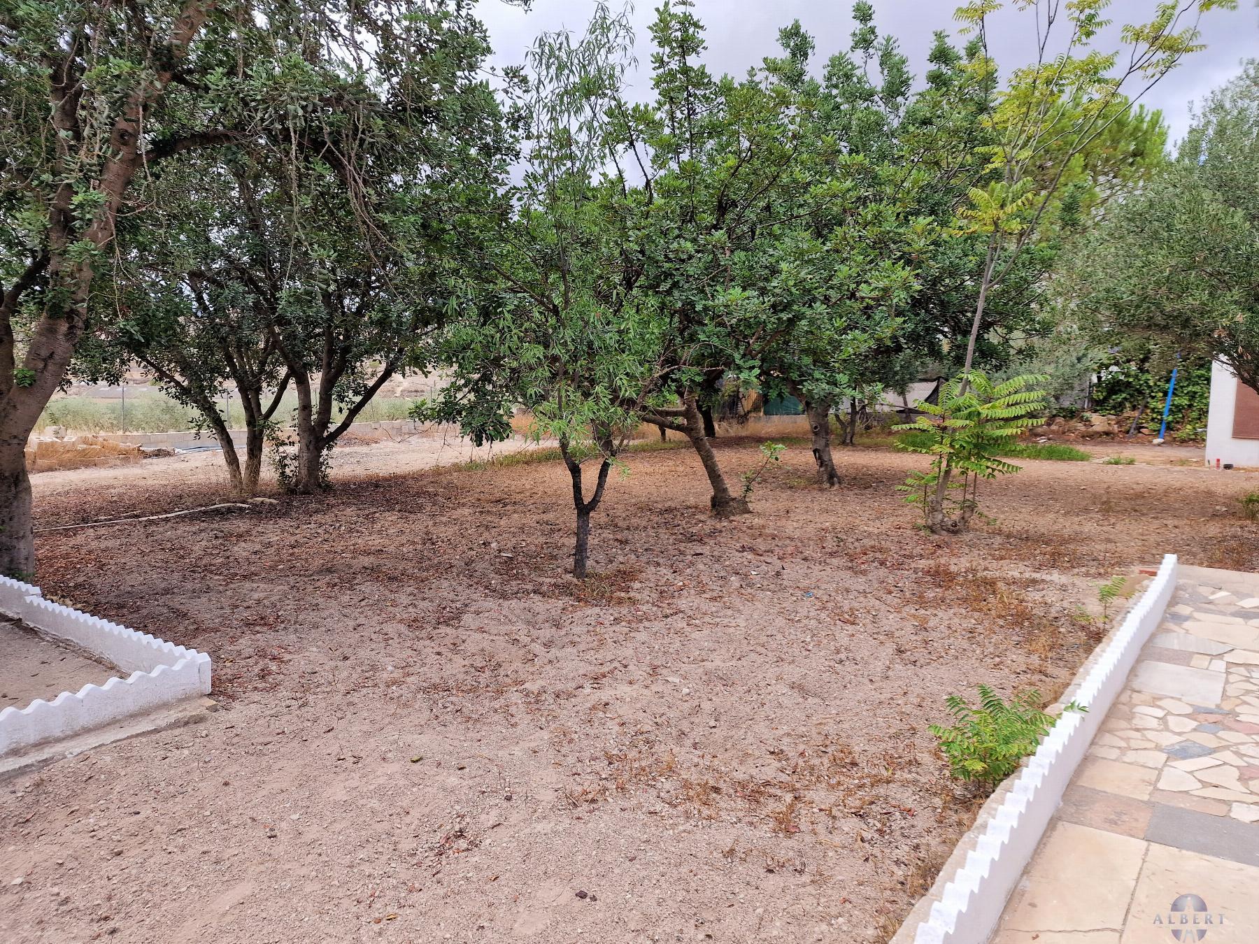 Venta de chalet en Monóvar-Monòver