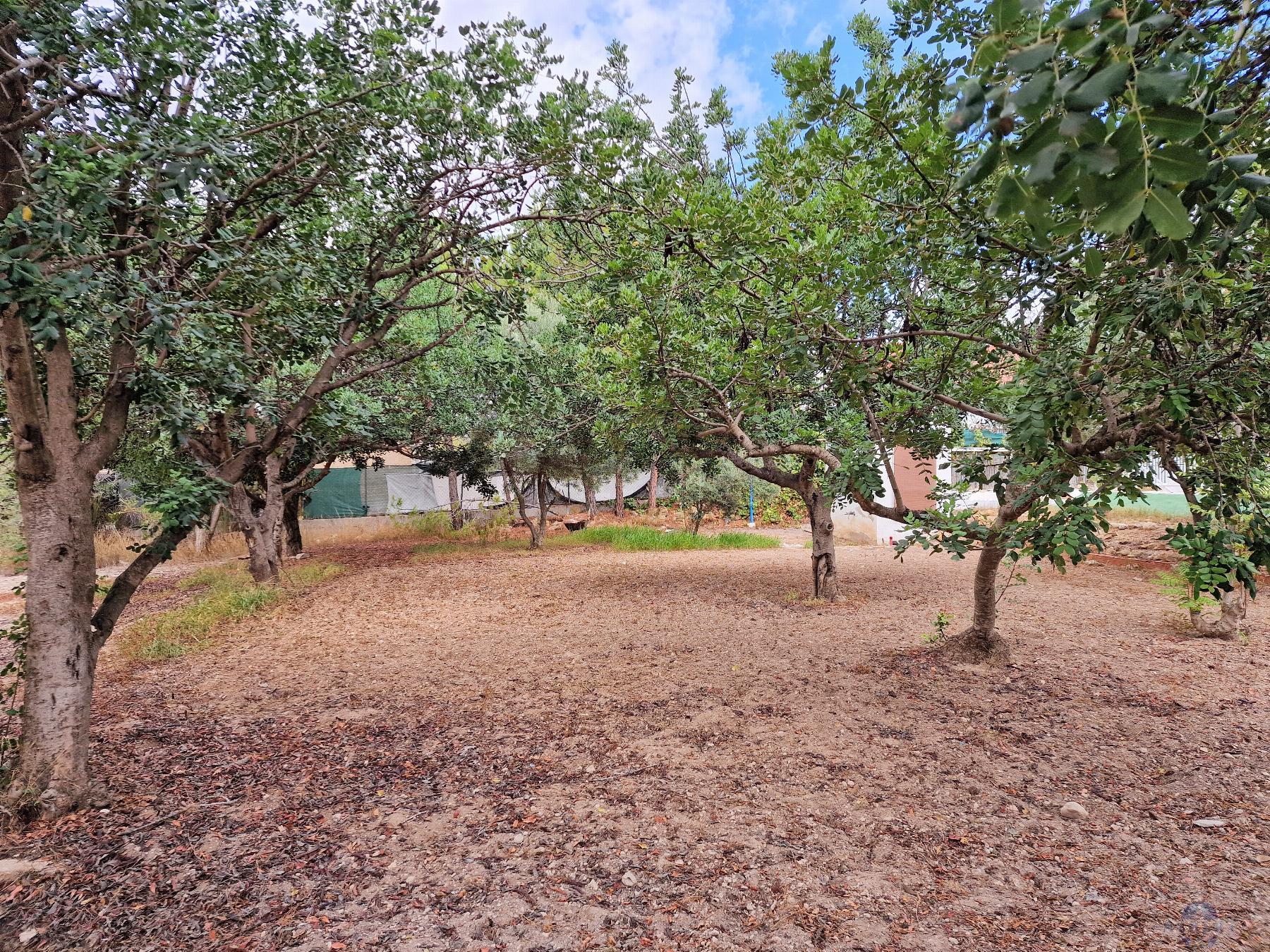 Venta de chalet en Monóvar-Monòver