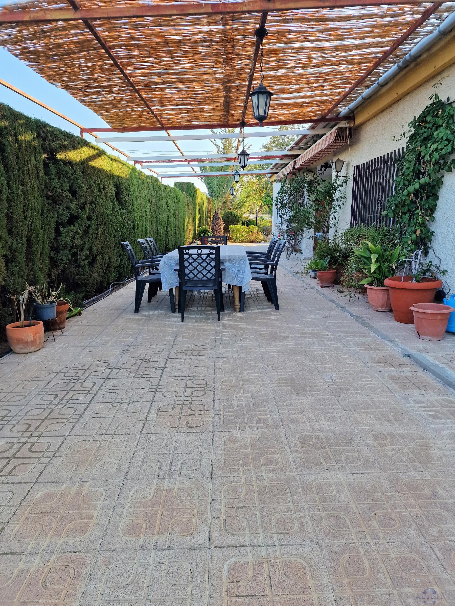 Venta de chalet en Novelda