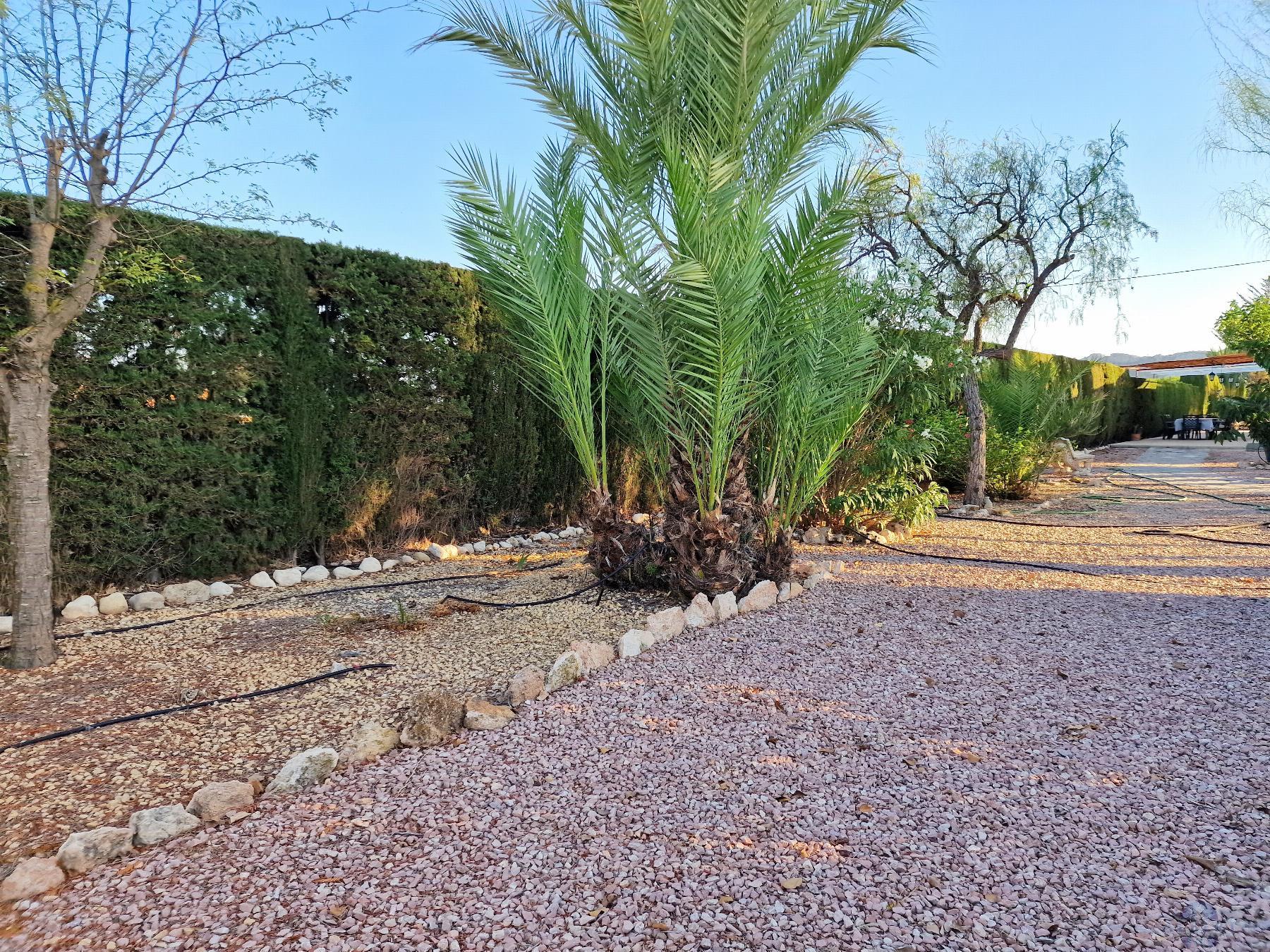 Venta de chalet en Novelda