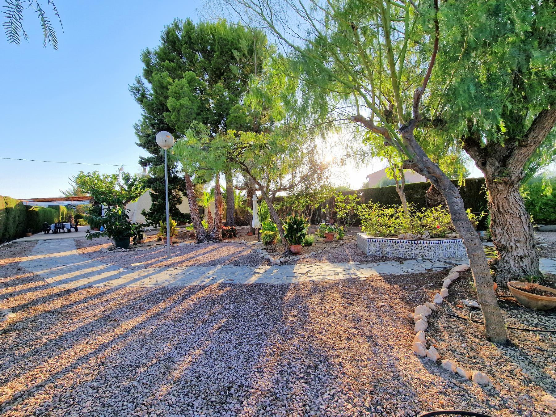 Venta de chalet en Novelda