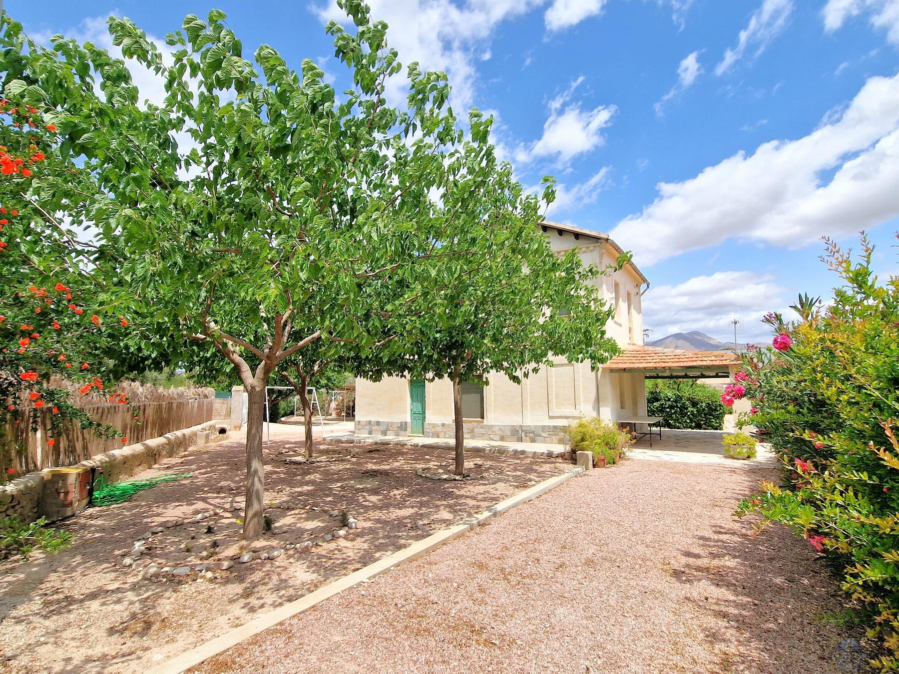 Venta de chalet en Novelda