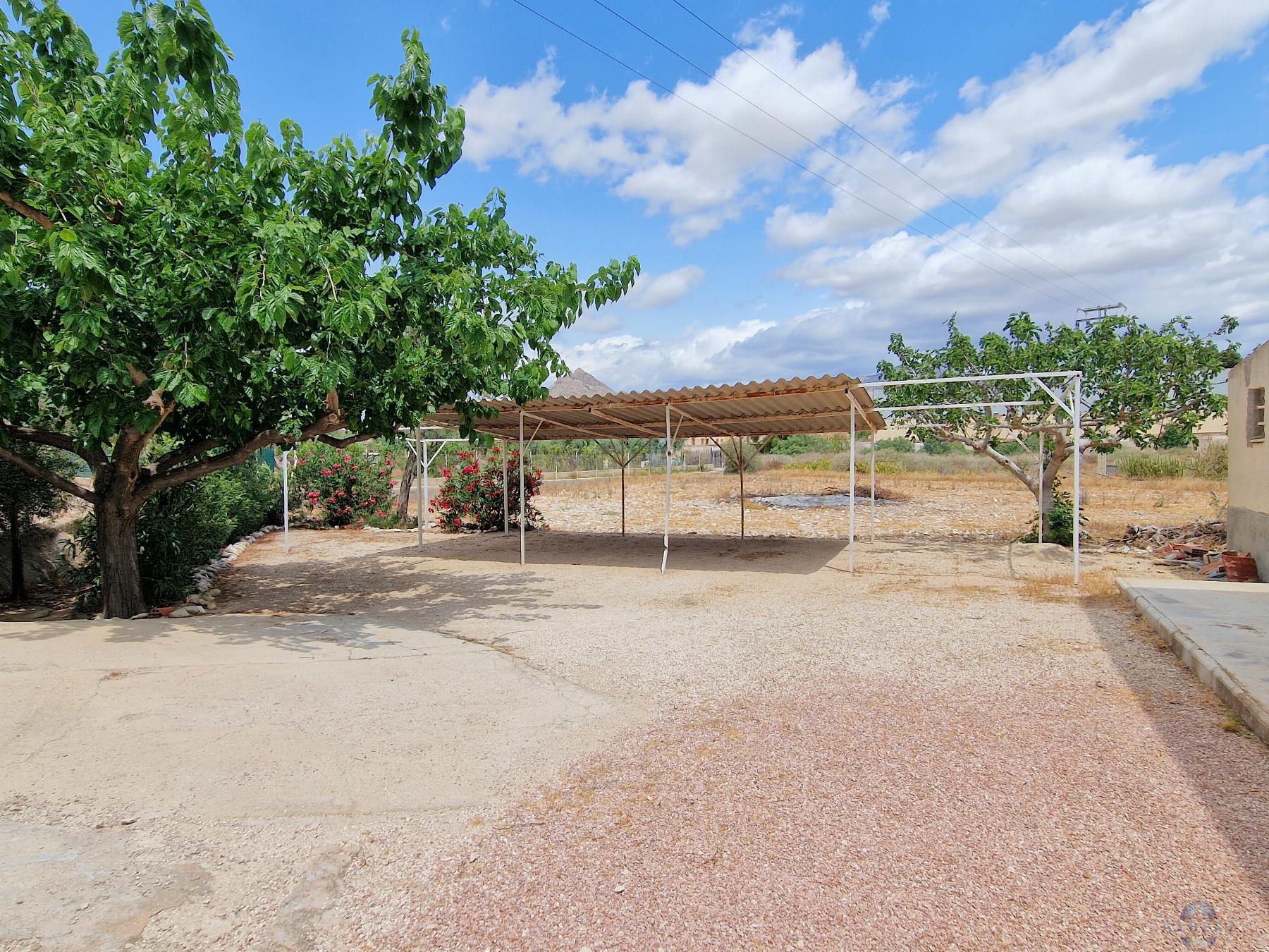 Venta de chalet en Novelda