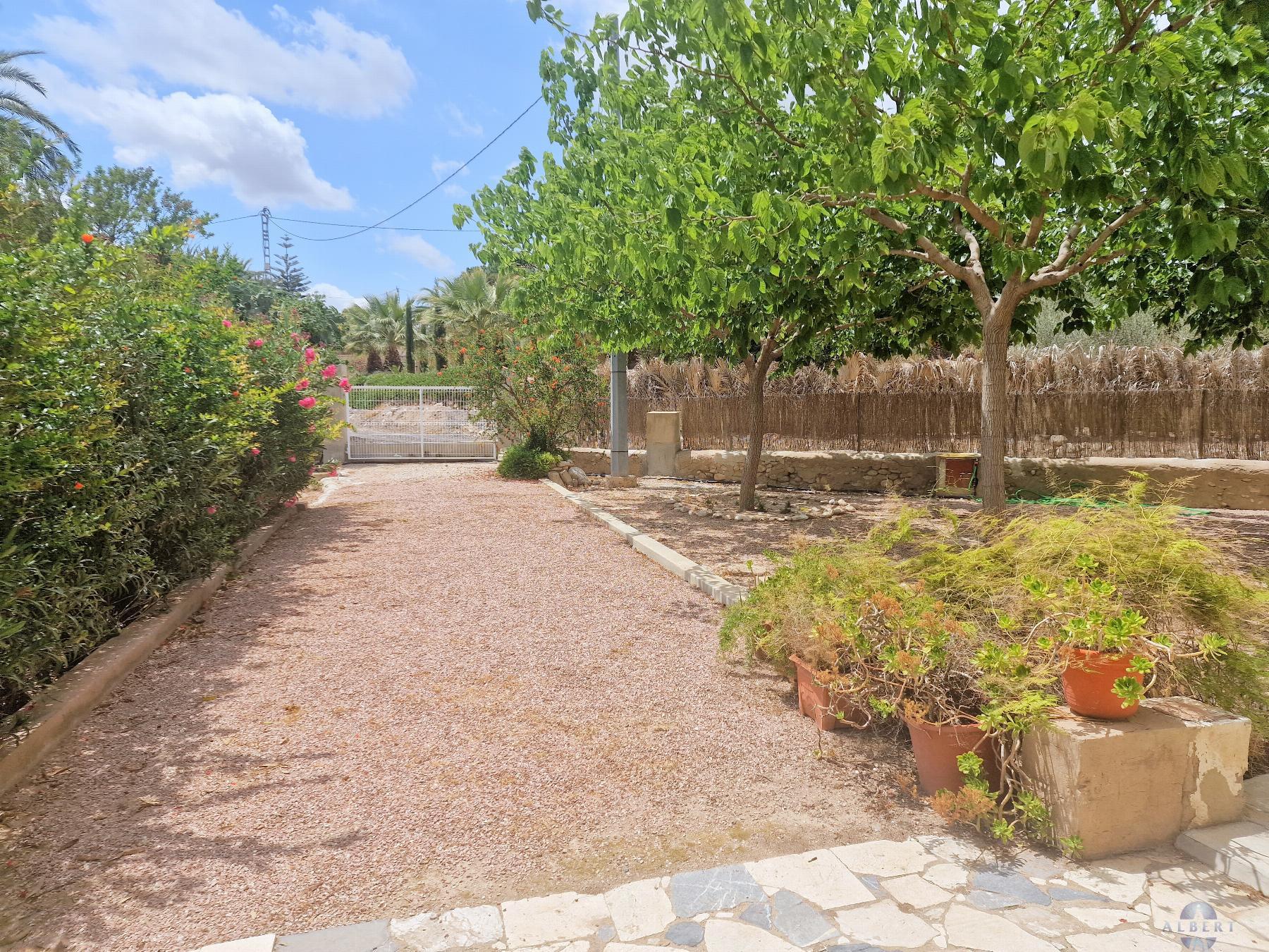 Venta de chalet en Novelda