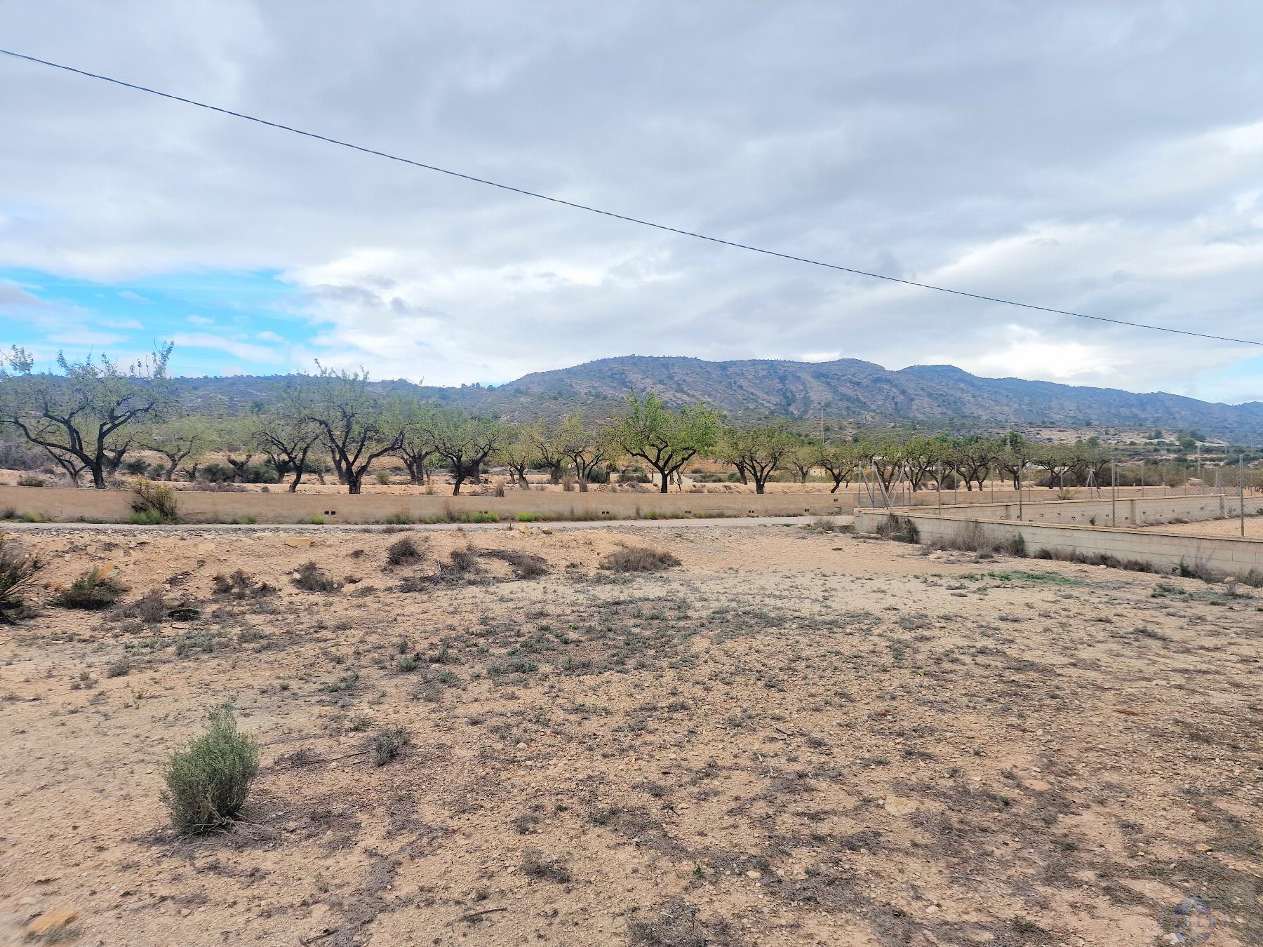 For sale of land in Monóvar-Monòver