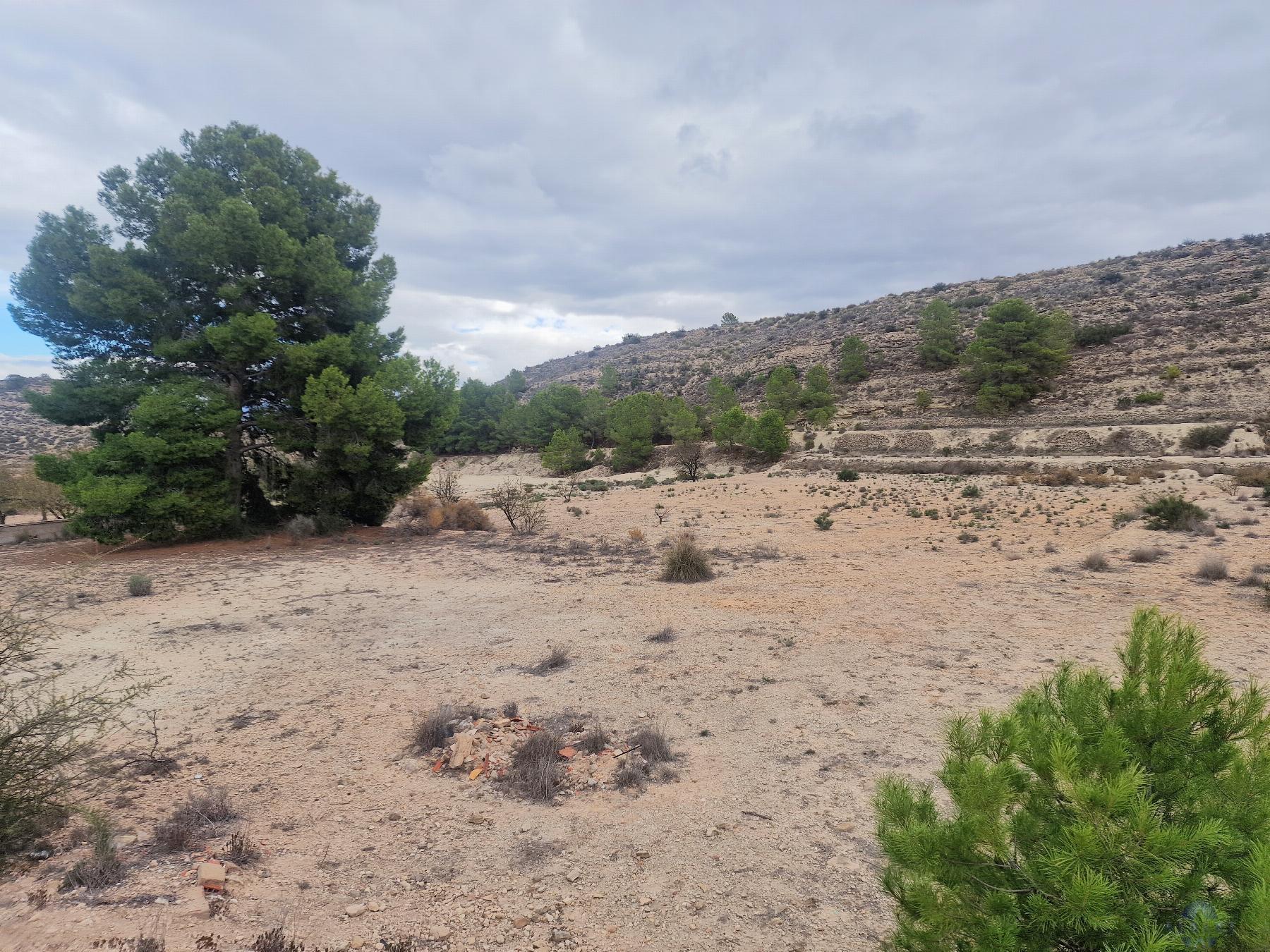 For sale of land in Monóvar-Monòver