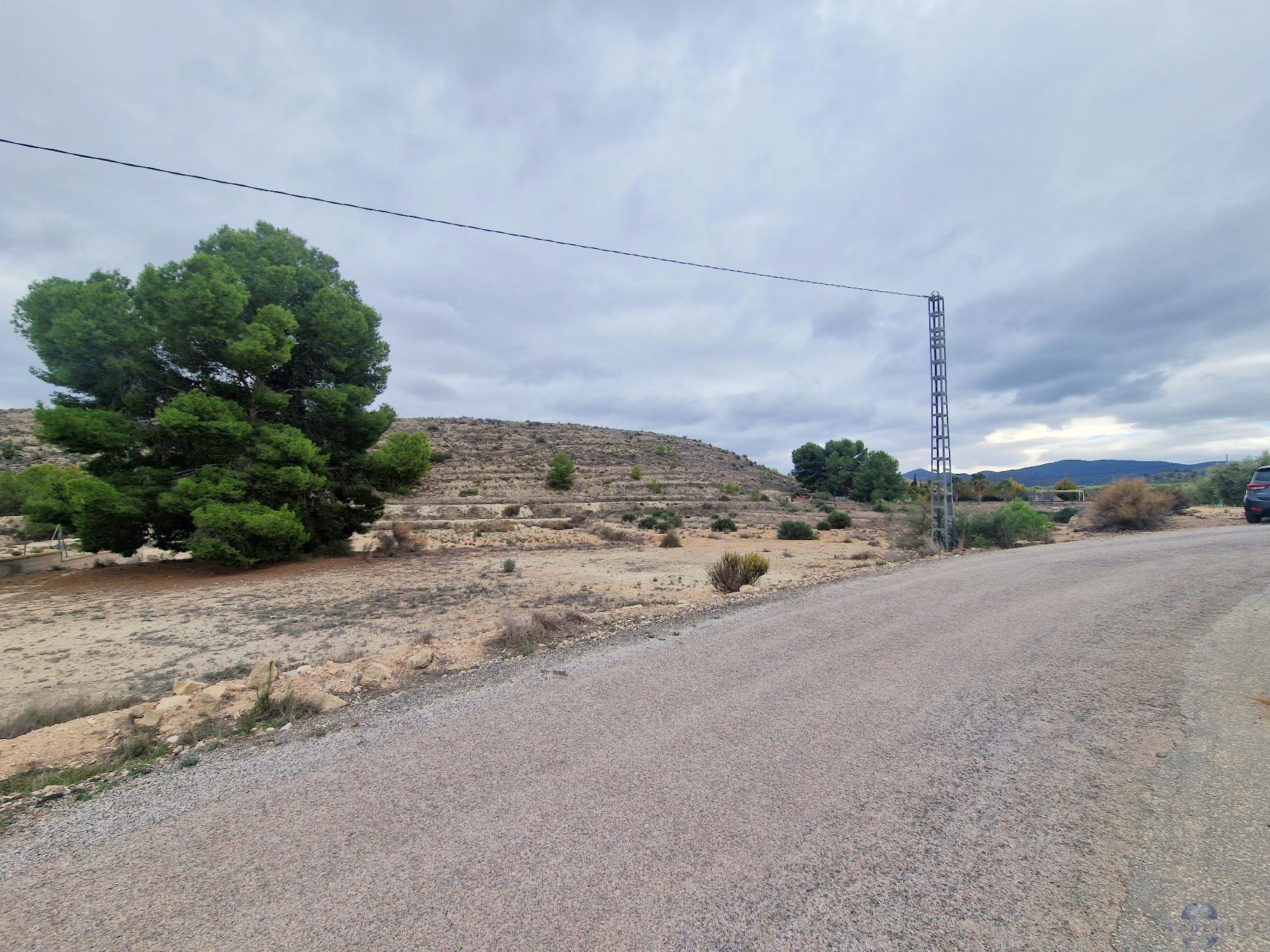 Venta de terreno en Monóvar-Monòver