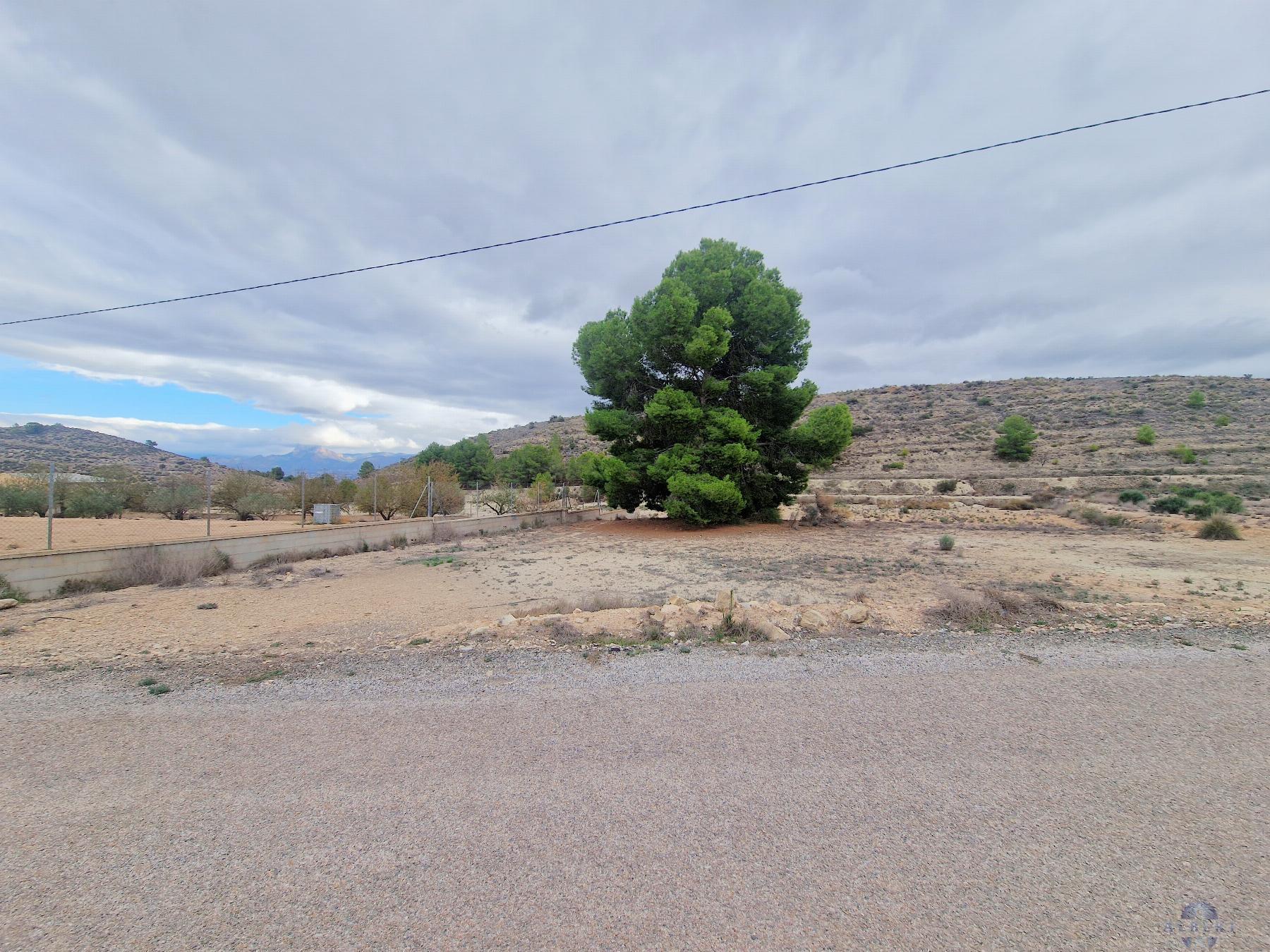 For sale of land in Monóvar-Monòver
