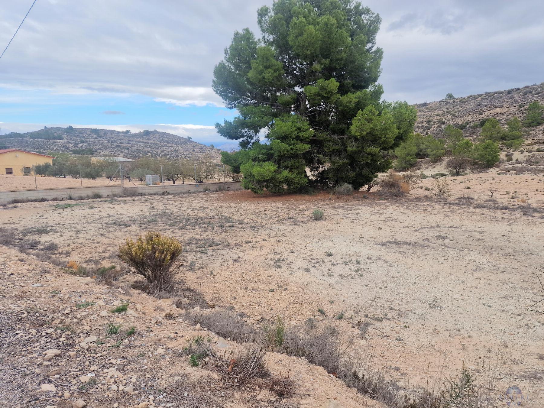 For sale of land in Monóvar-Monòver