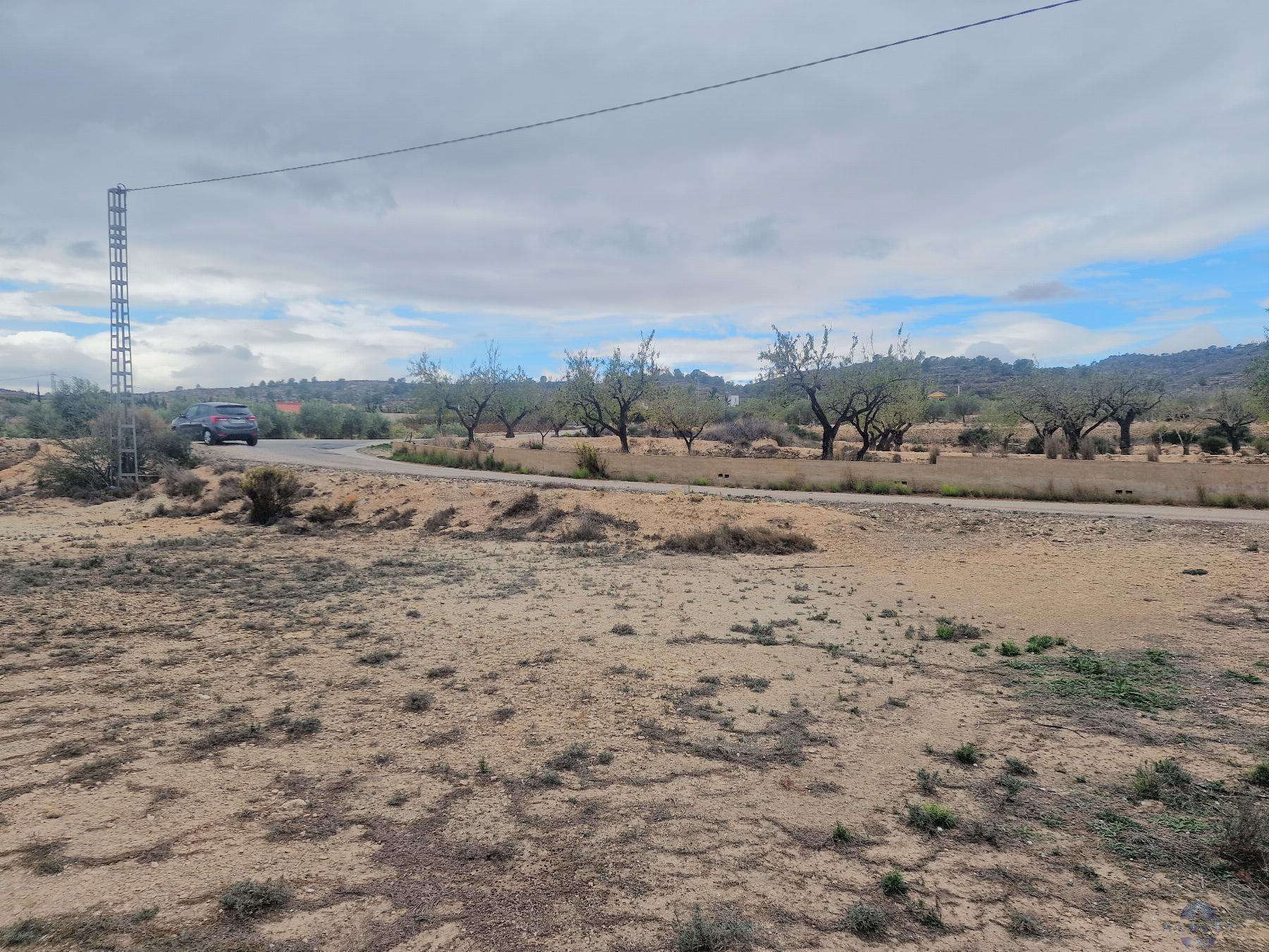 For sale of land in Monóvar-Monòver